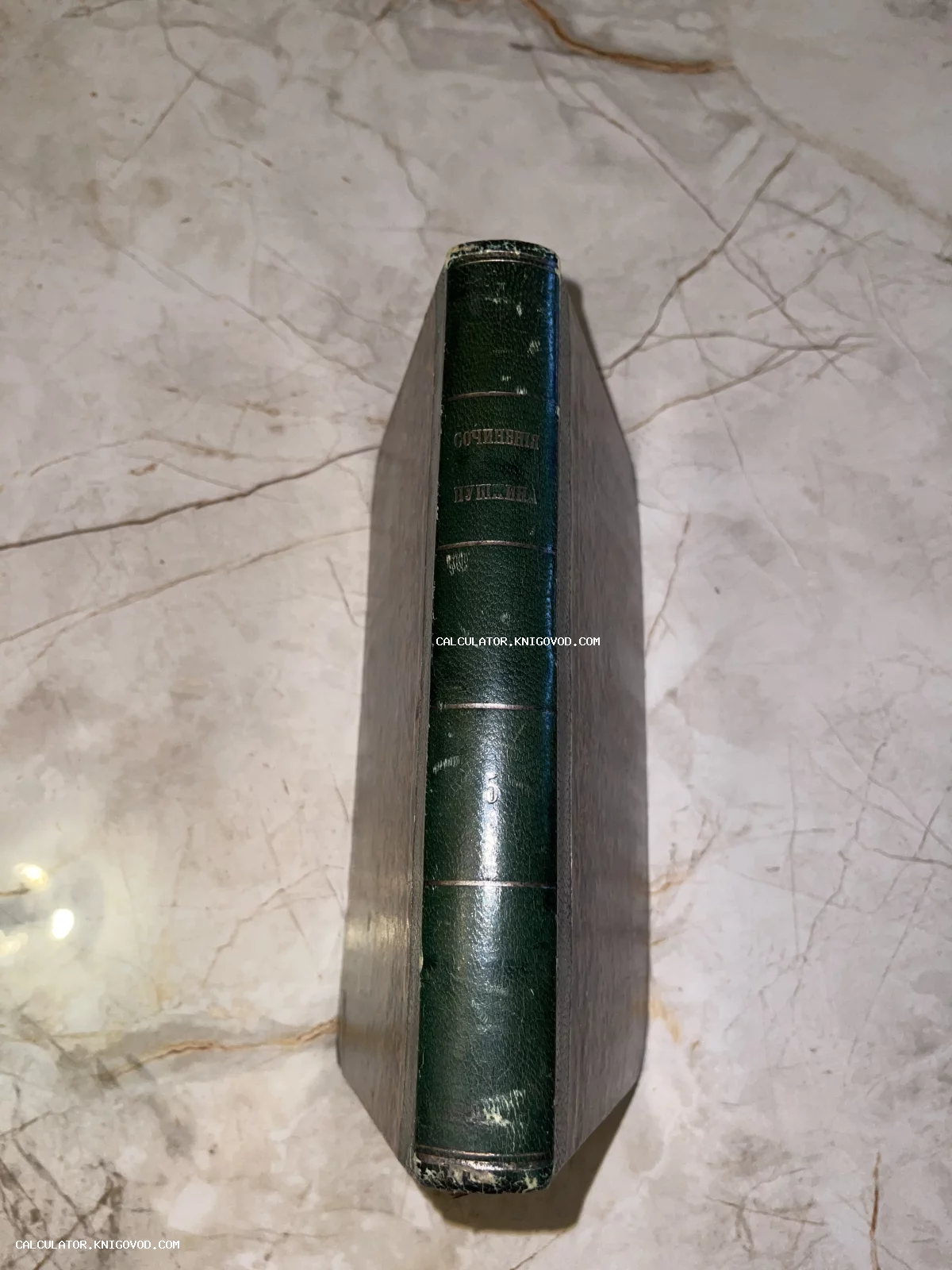 Корешок антикварной книги в темно-зеленом кожаном переплете с золотым тиснением 'Сочинения Пушкина' и цифрой 5.