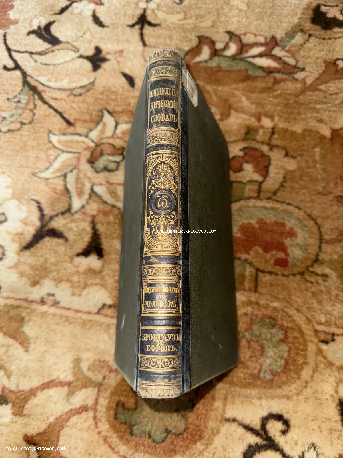 Старинная книга с темным корешком и золотым тиснением, 75 том словаря Брокгауза и Ефрона, стоит на ковре.