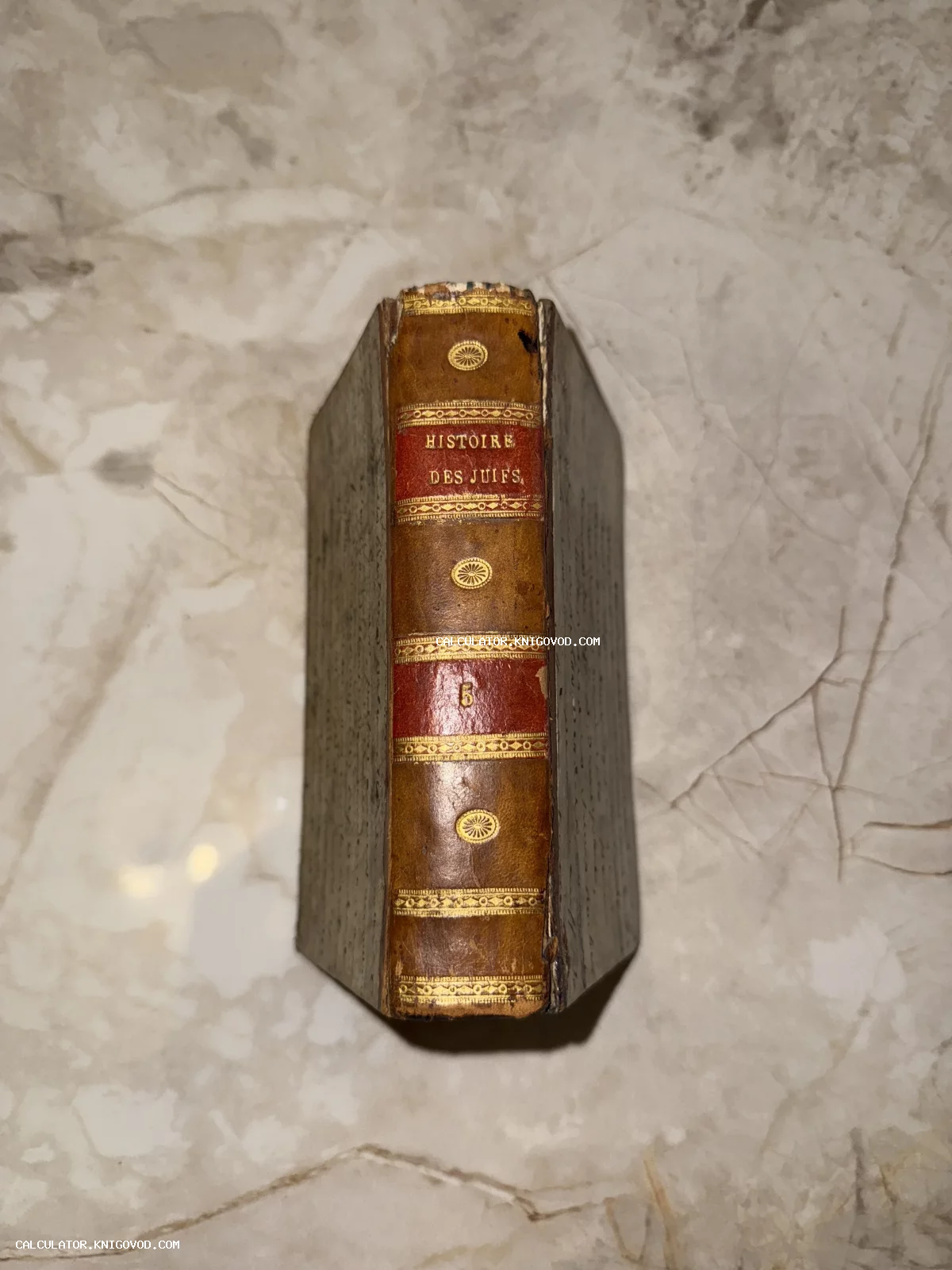 Корешок старинной французской книги Histoire des Juifs с золотым тиснением на коричневой коже.