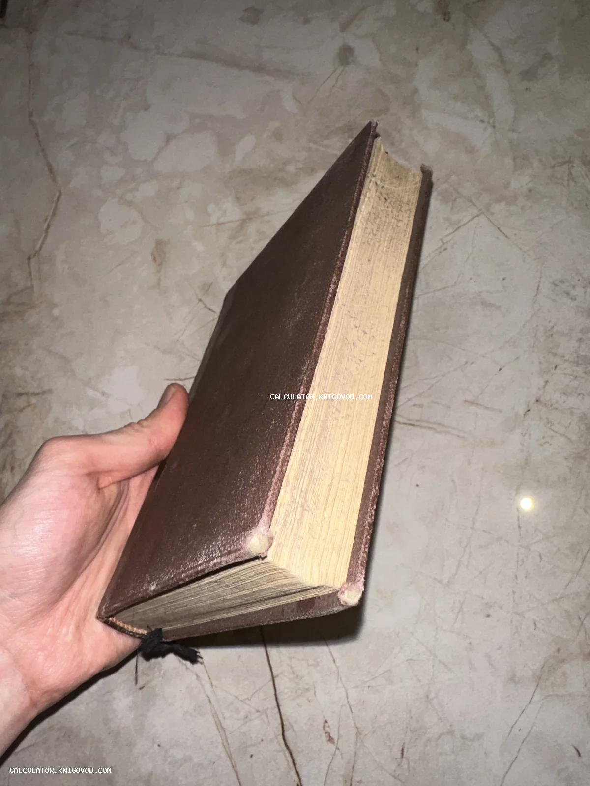 Рука держит старинную книгу с плотными пожелтевшими страницами и темно-коричневой фактурной обложкой.