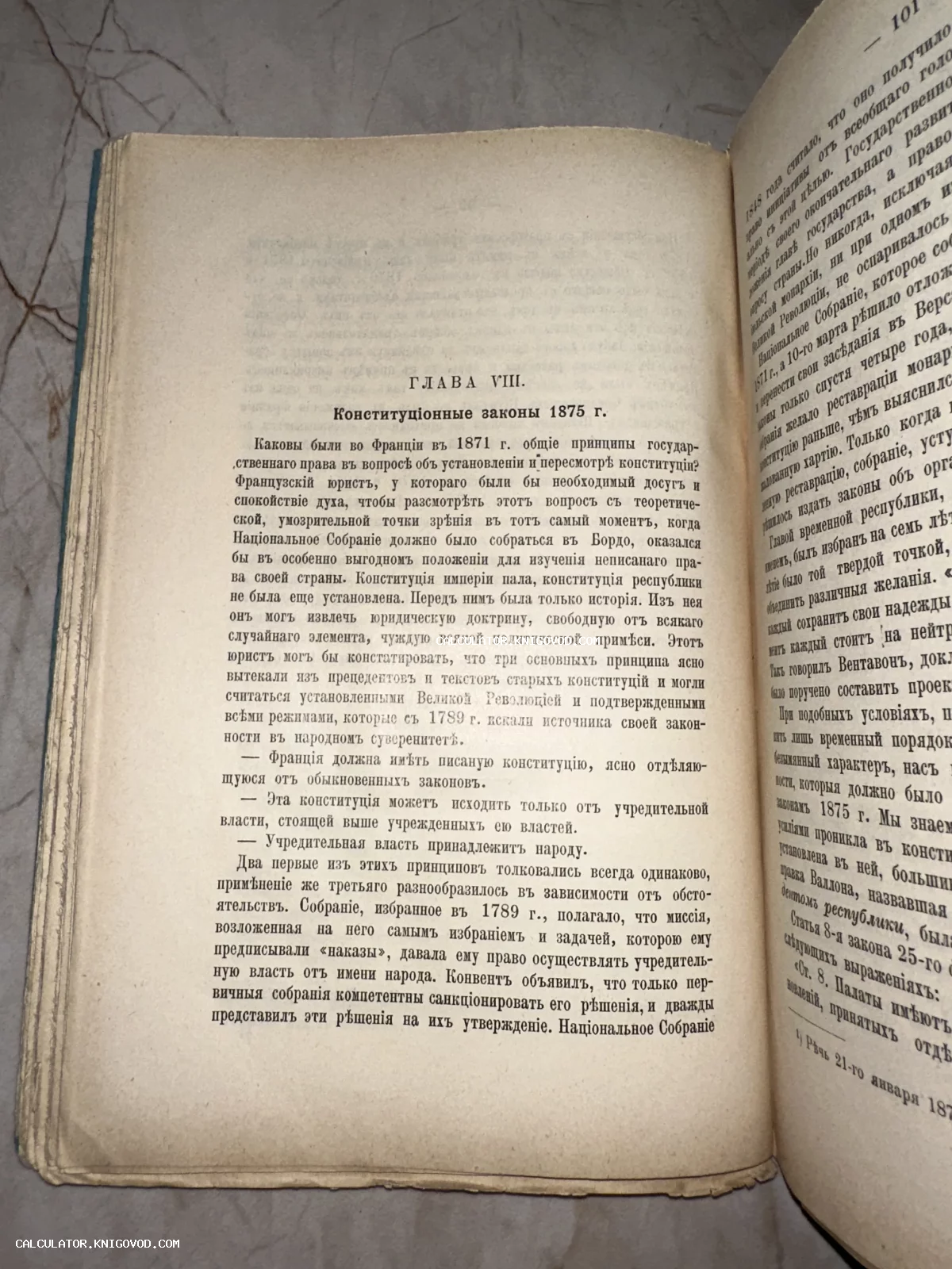 Разворот открытой антикварной книги с текстом на дореволюционном русском языке, заголовок Глава VIII Конституционные законы 1875 г.