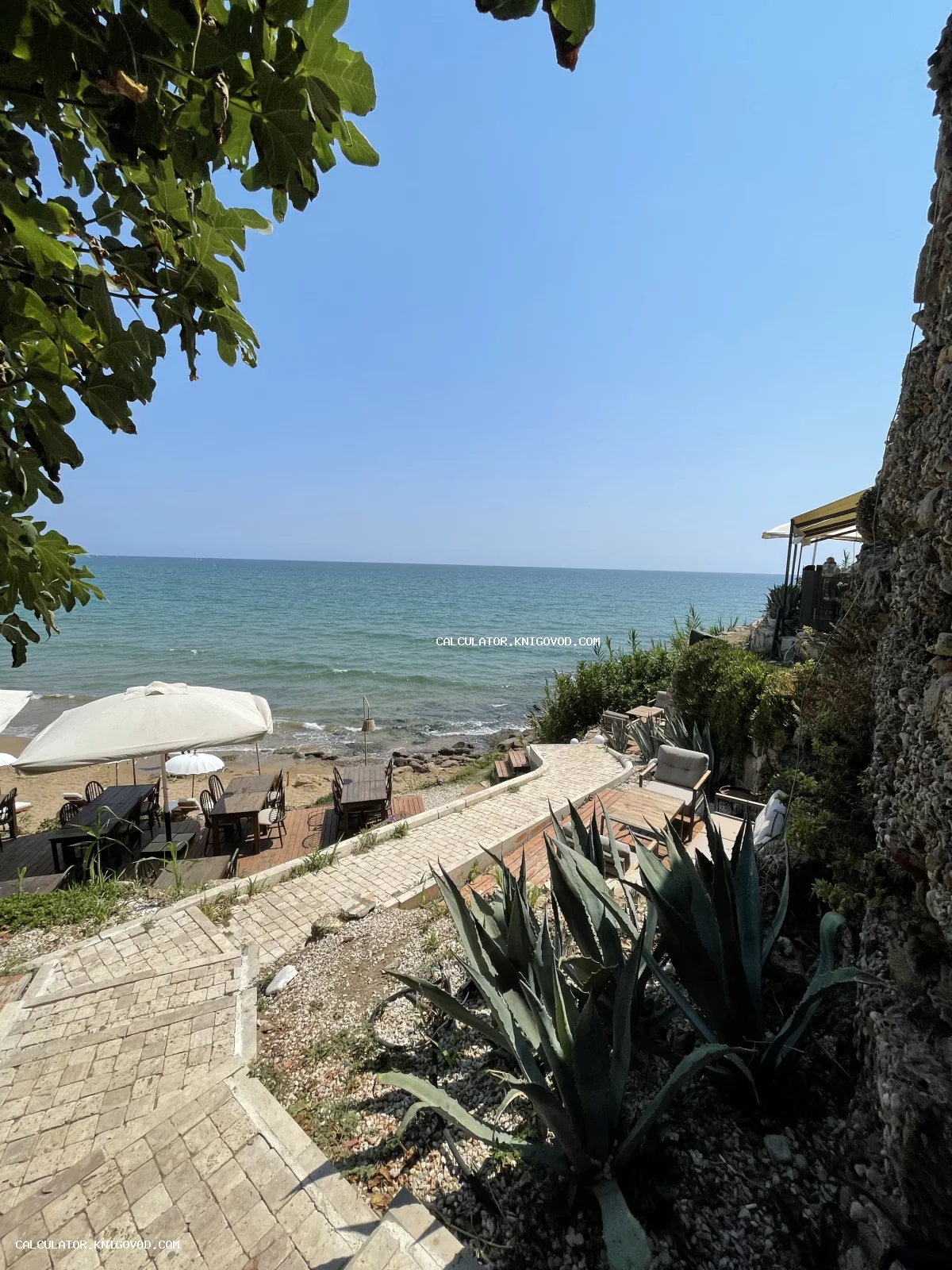 Каменная дорожка и лестница, ведущие к уютной террасе кафе у самого моря с зарослями агавы.