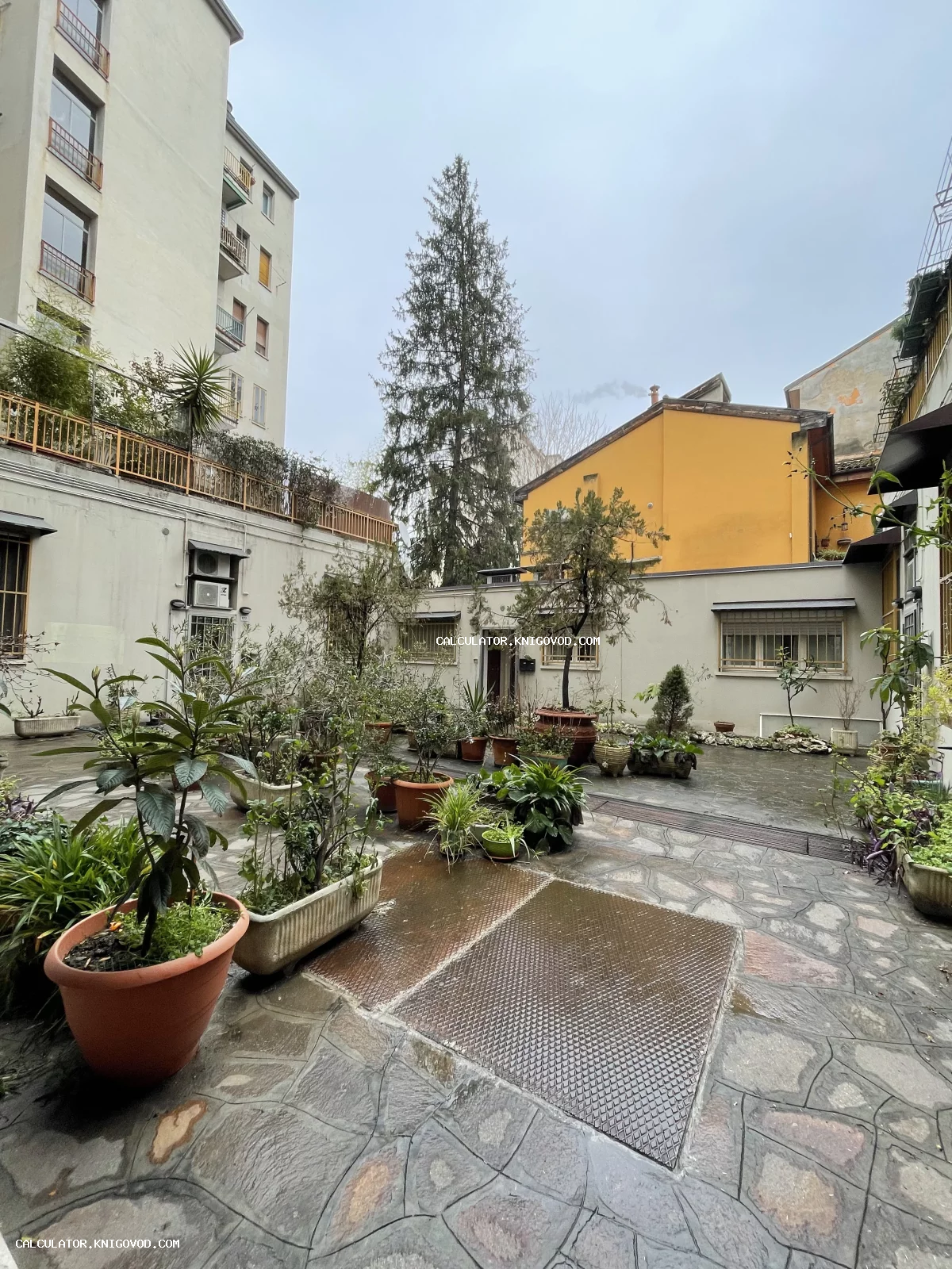 Уединенный внутренний дворик с каменным мощением, множеством комнатных и садовых растений в горшках на фоне городских зданий.