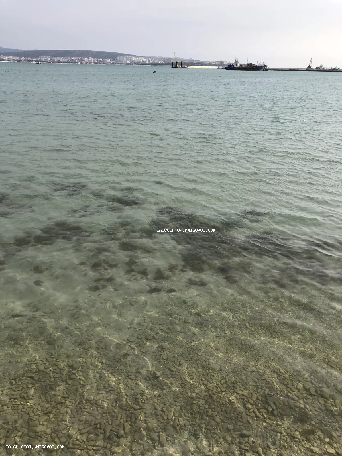 Прозрачная морская вода с каменистым дном на переднем плане и силуэтами портовых кранов и города на горизонте.