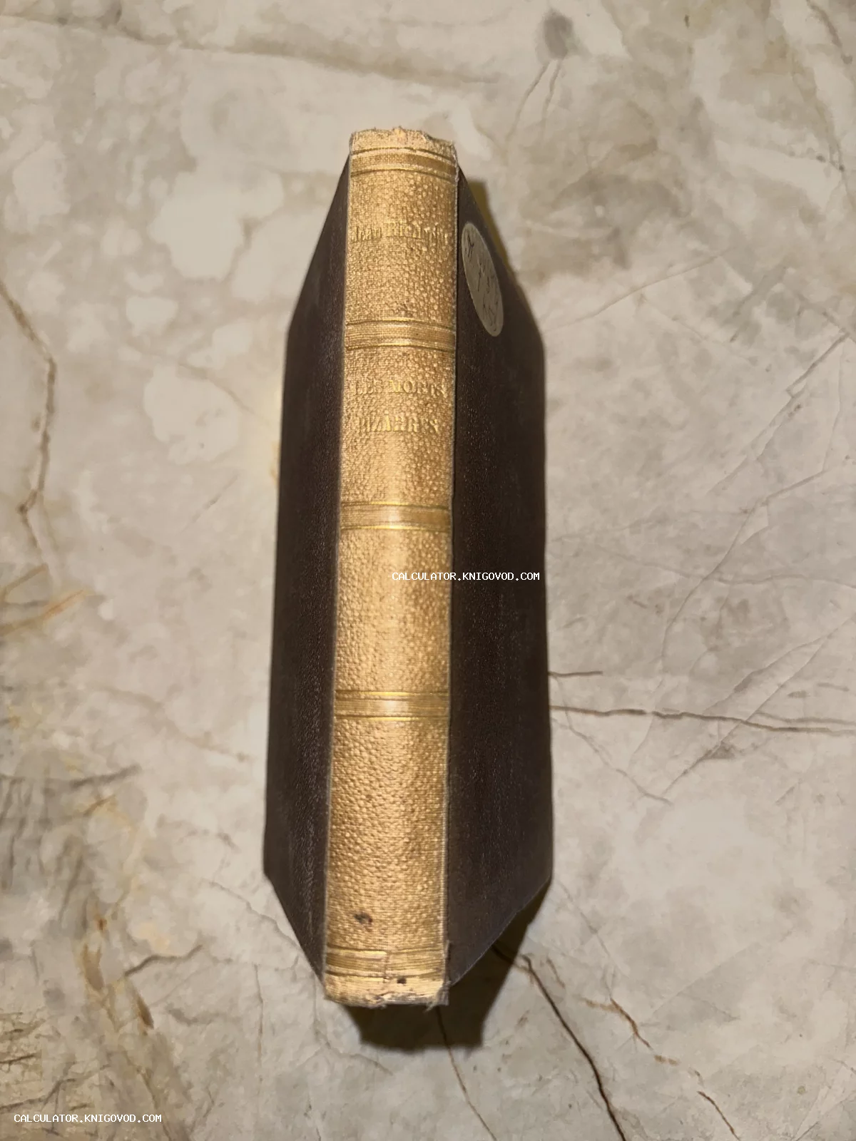 Корешок старинной книги Жана Ришпена 'Les Morts Bizarres' с золотым тиснением на фоне мраморной поверхности.