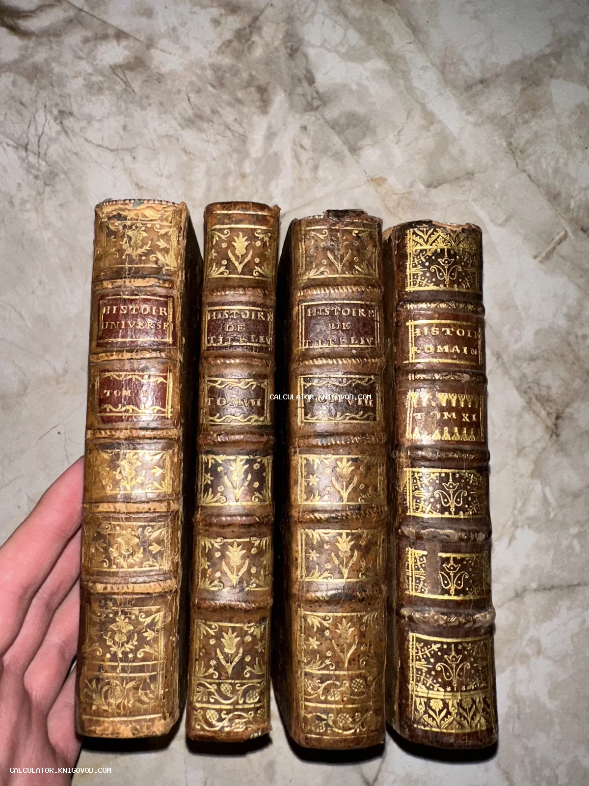 Четыре старинные книги с золотым тиснением на кожаных корешках, включая труды по истории Рима и всемирной истории.