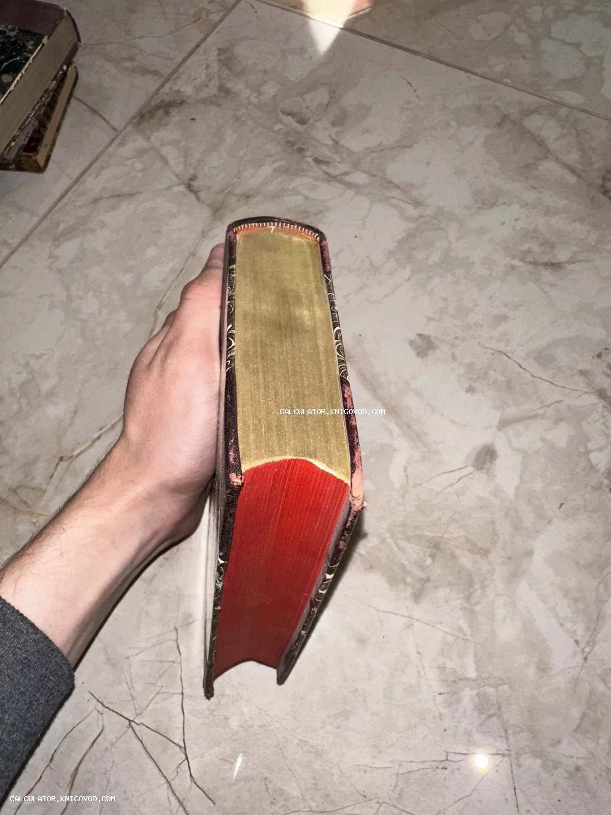 Вид сверху на страницы старинной книги с позолоченным и красным обрезом в руке.