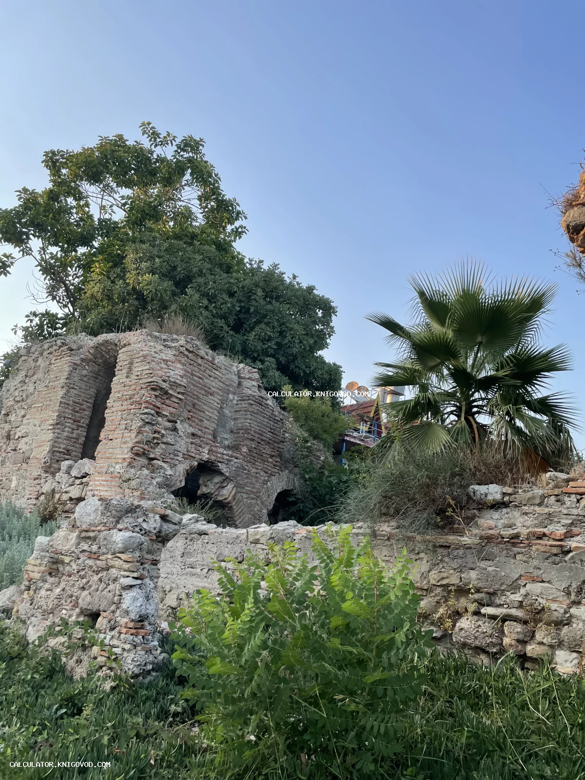 Развалины древнего кирпичного строения с арками, поросшие пальмами и густой растительностью под ясным небом.