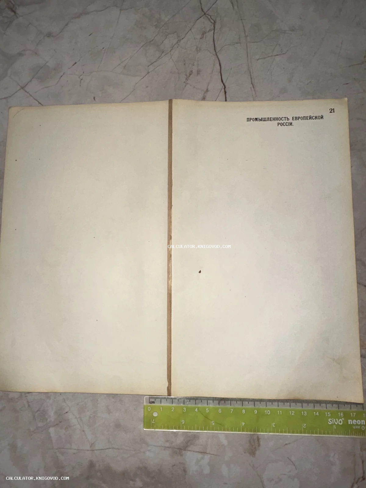 Разворот антикварной страницы с типографским заголовком Промышленность Европейской России и номером 21 на пожелтевшей бумаге.