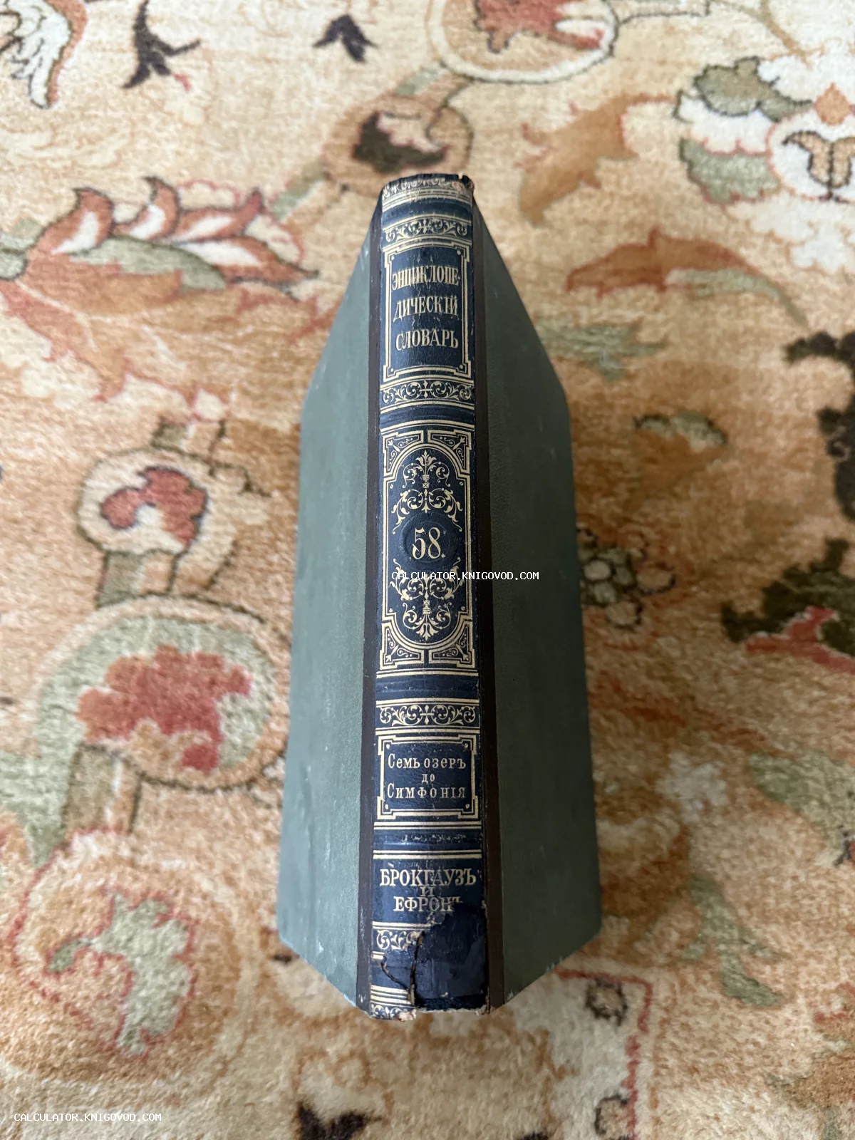 Корешок антикварного 58-го тома Энциклопедического словаря Брокгауза и Ефрона с золотым тиснением.