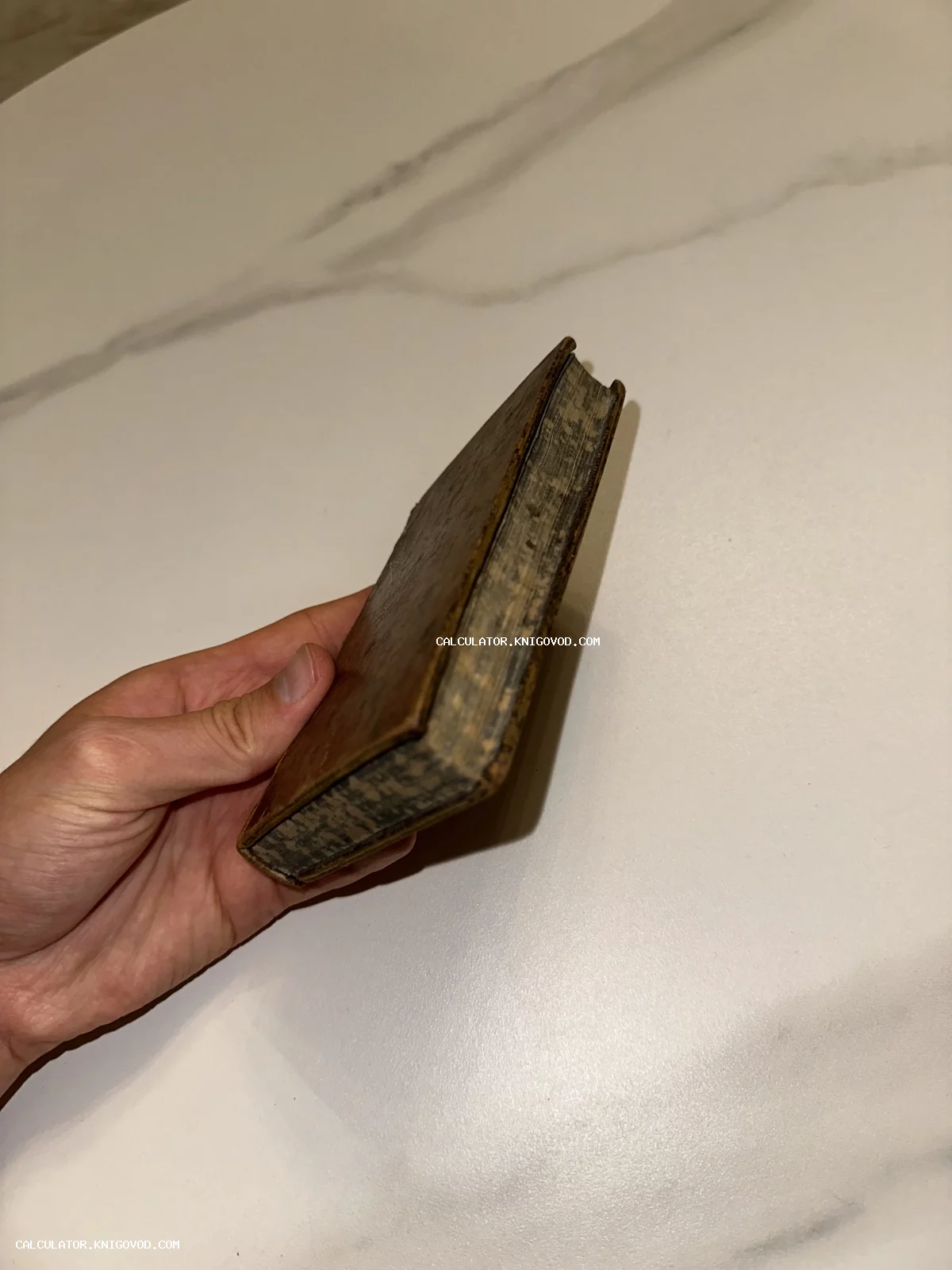 Человек держит в руке маленькую антикварную книгу с потертым коричневым переплетом и потемневшими от времени страницами на светлом фоне.