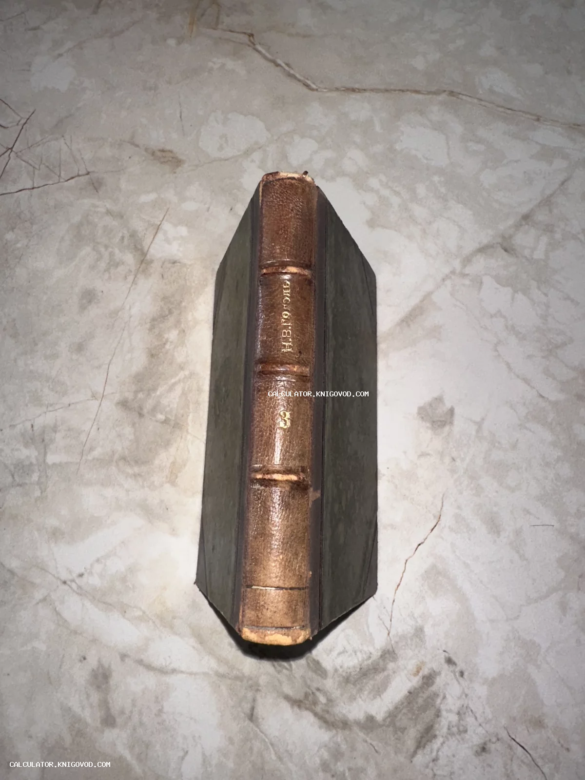 Корешок антикварной книги Николая Васильевича Гоголя в старинном кожаном переплете с бинтами.