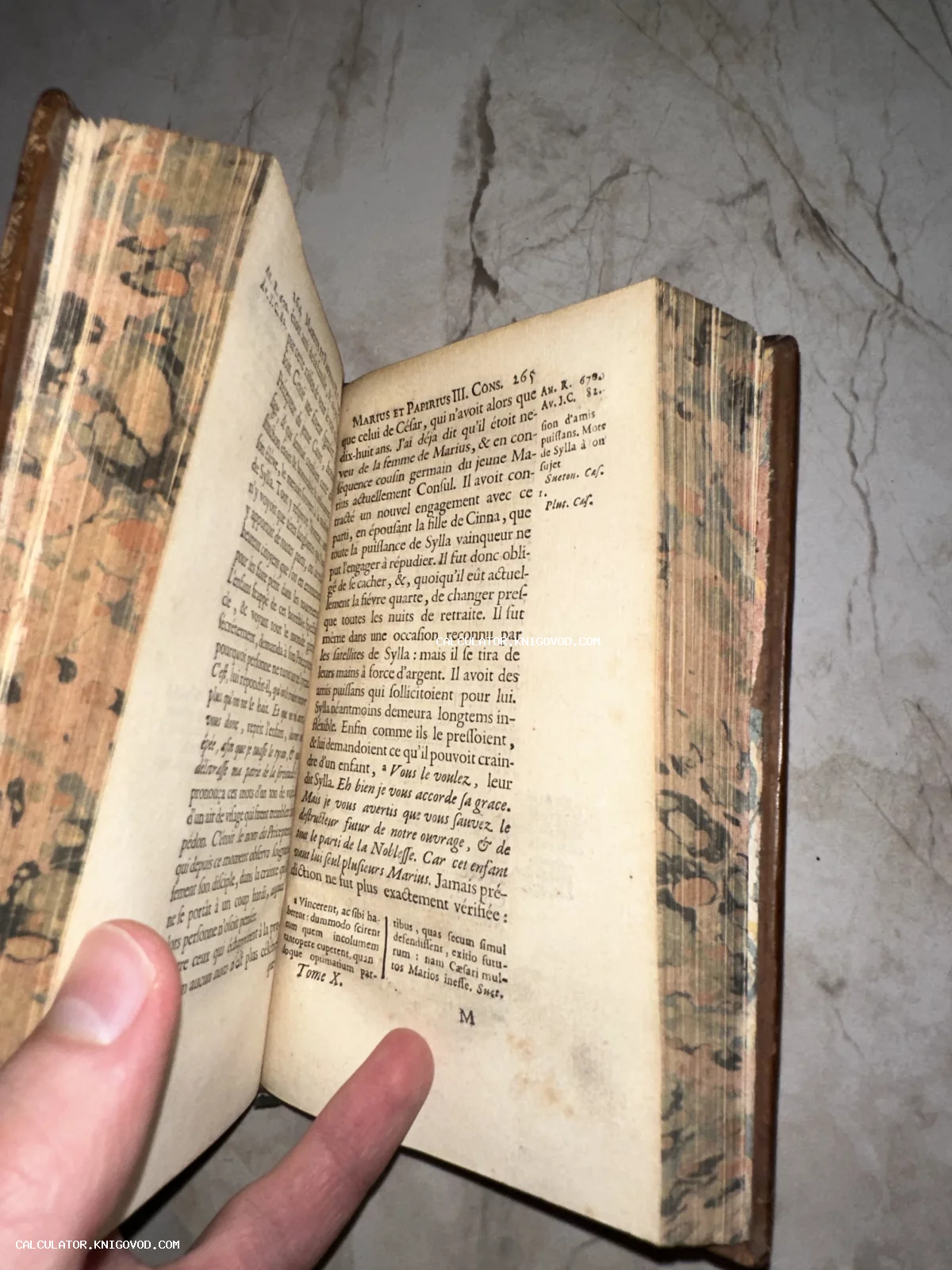 Разворот антикварной книги на французском языке с пожелтевшими страницами и декоративным мраморным узором на боковом срезе.