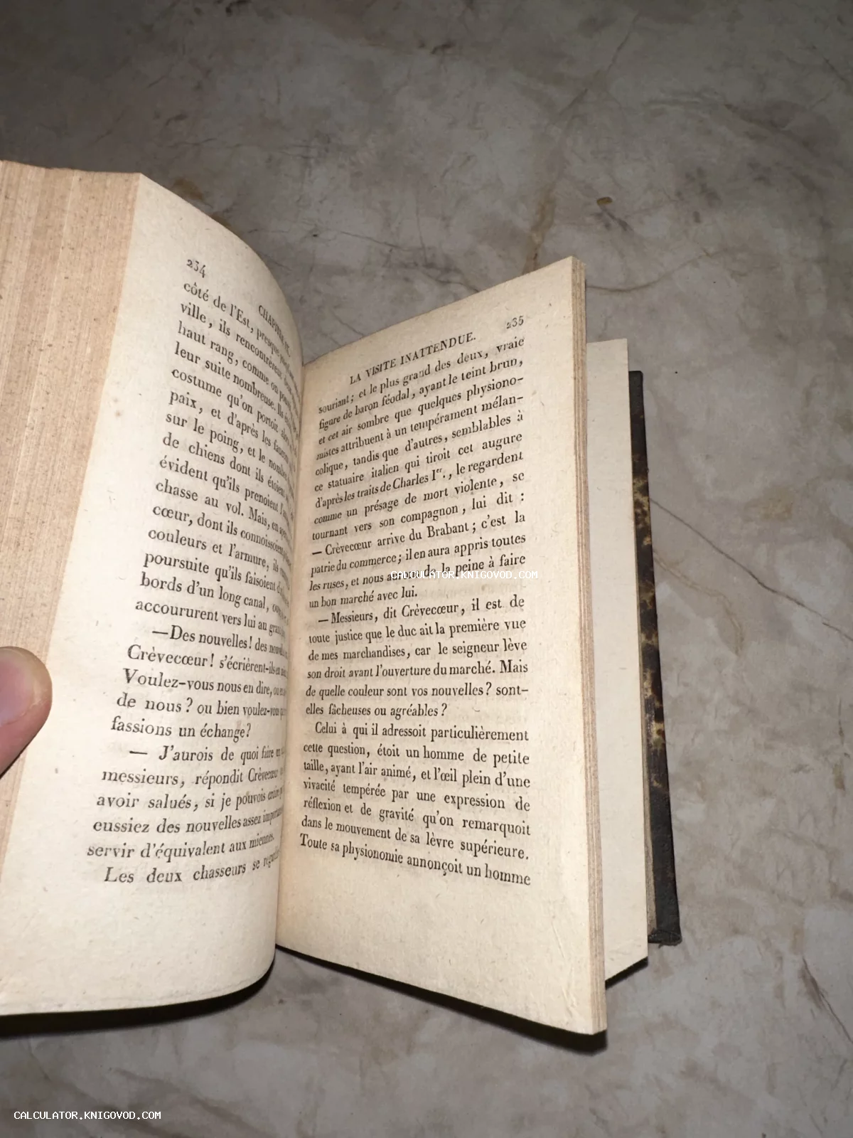 Разворот старинной книги на французском языке с пожелтевшими страницами и четким антикварным шрифтом.