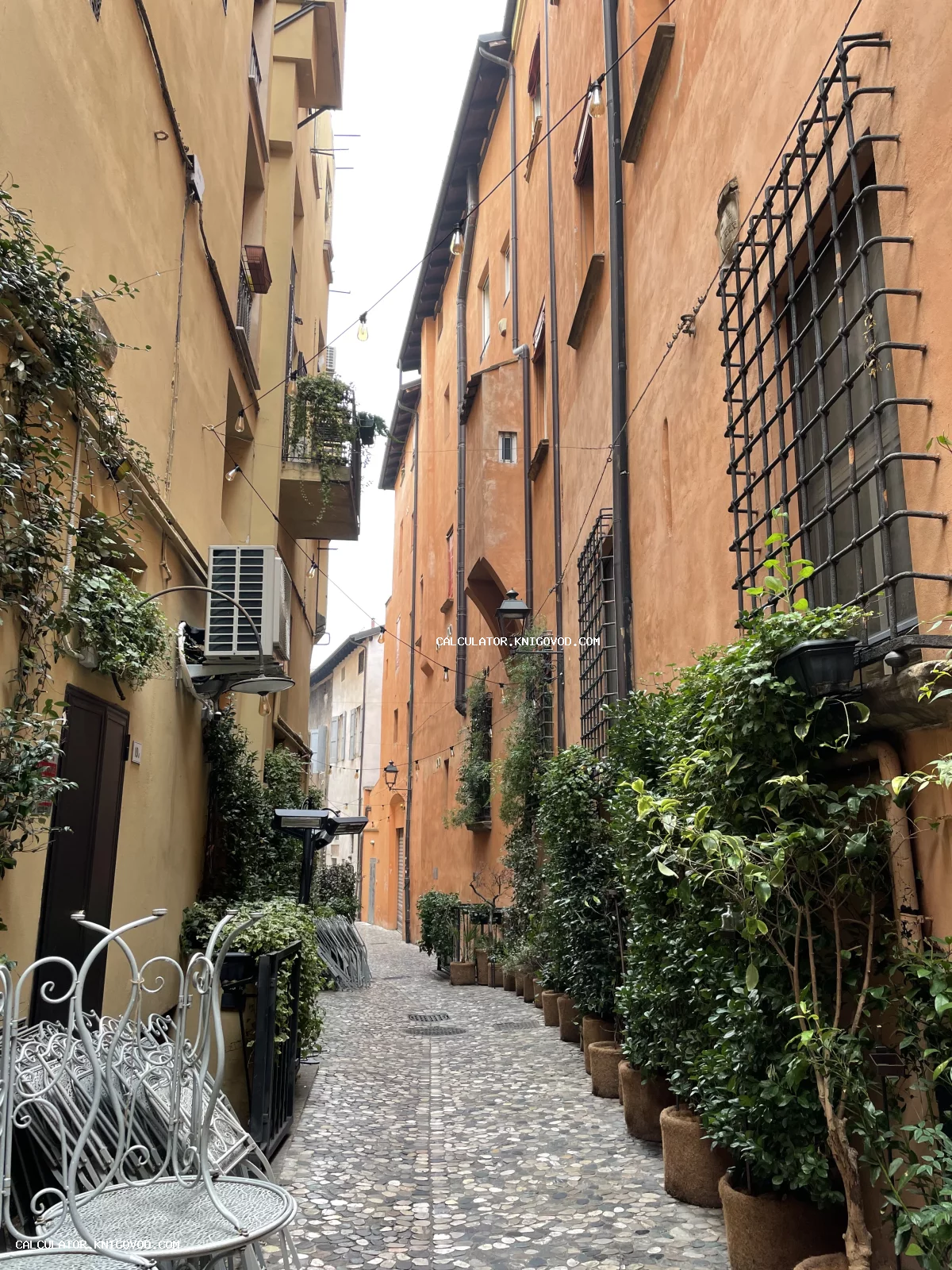 Вид на узкую мощеную улицу между высокими терракотовыми зданиями с обилием вьющихся растений и коваными деталями.