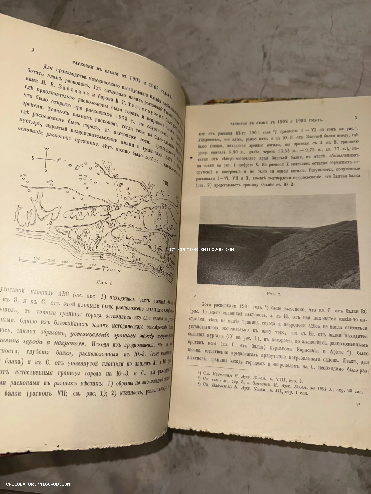 Разворот антикварной книги с текстом на дореволюционном русском языке, схемой раскопок и черно-белой фотографией местности Ольвии.