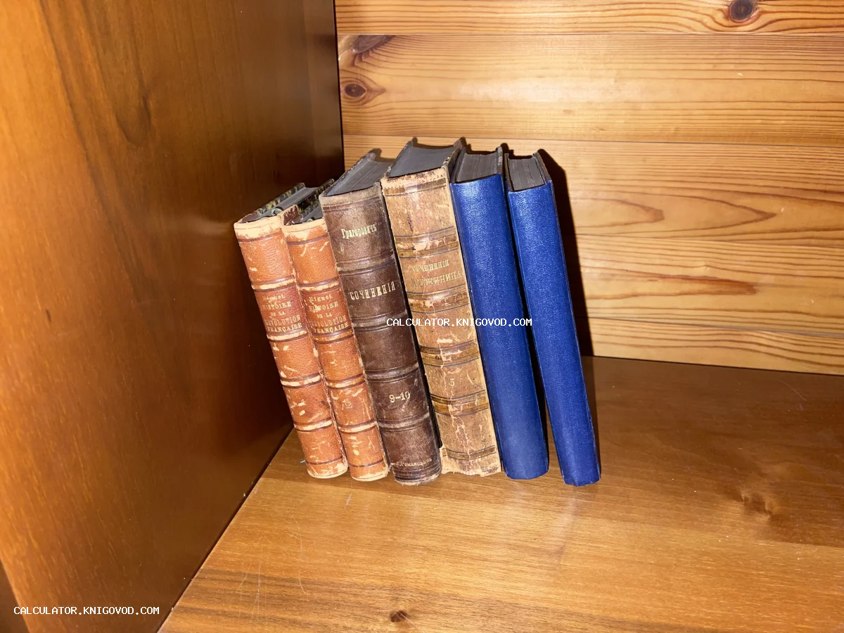 Ряд старинных книг с тиснеными кожаными корешками на деревянной полке, среди которых сочинения Григоровича и Дружинина.