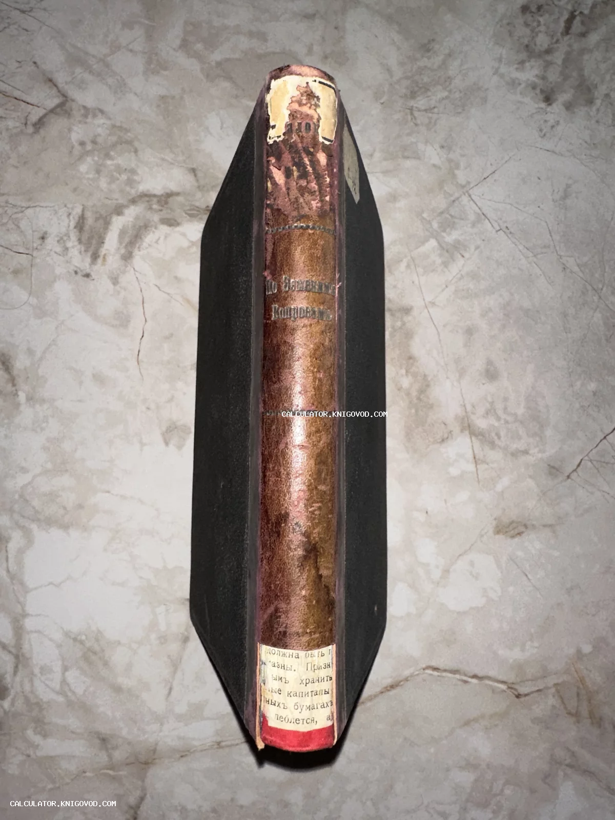 Корешок старинной книги в кожаном переплете с золотым тиснением названия «По Земскимъ Вопросамъ» на мраморном фоне.