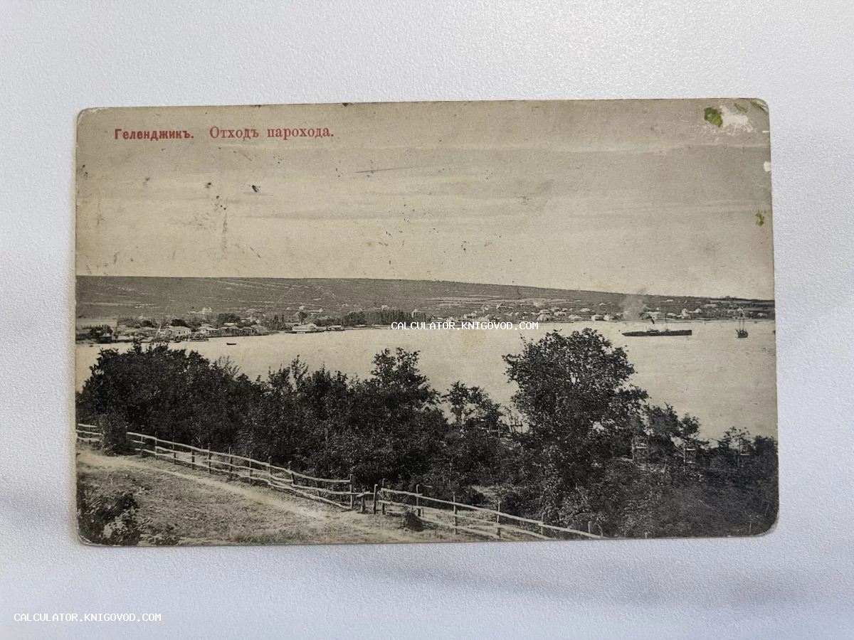 Черно-белая дореволюционная открытка с панорамным видом на Геленджикскую бухту и уходящий пароход.