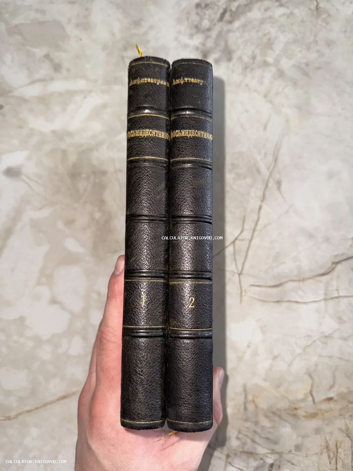Корешки двух томов антикварной книги Александра Амфитеатрова «Восьмидесятники» в кожаном переплете с золотым тиснением.