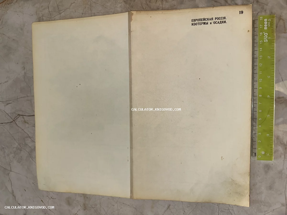 Оборотная сторона старинного листа бумаги с дореволюционным заголовком и порядковым номером 19.