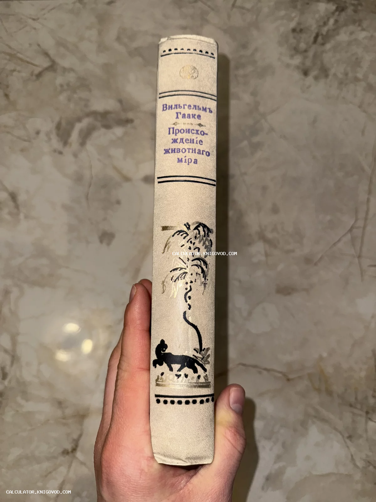 Корешок старинной книги Вильгельма Гааке с названием «Происхождение животного мира» и рисунком пальмы и пантеры.