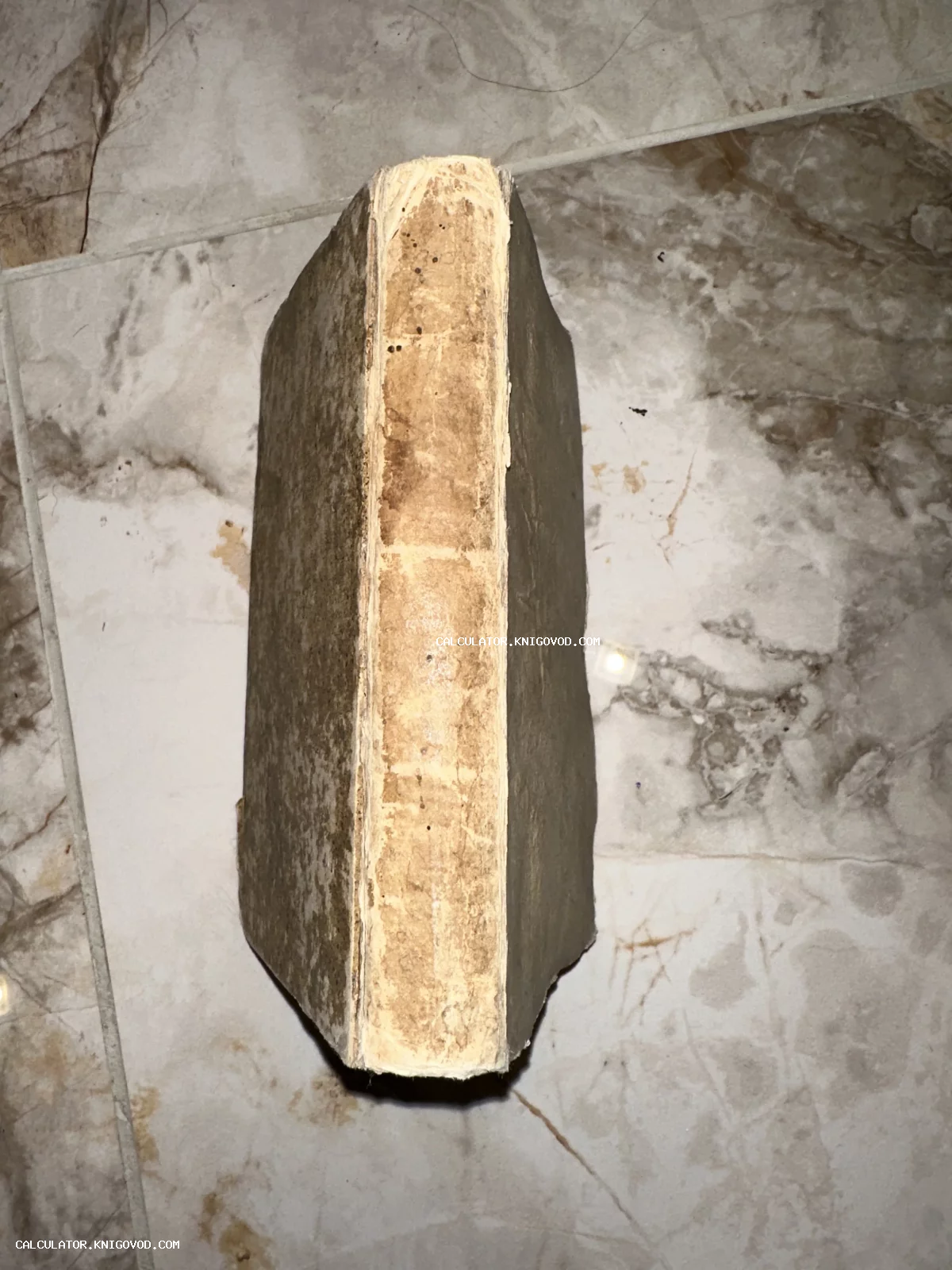 Вид на массивный корешок старинной антикварной книги с выраженными следами времени и потертостями.