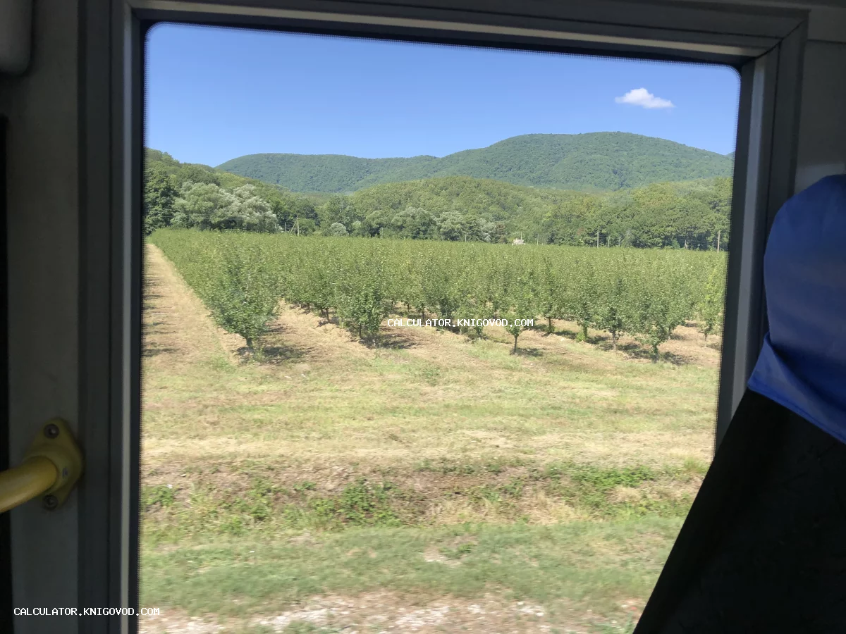 Вид из окна на зеленый фруктовый сад и поросшие лесом горы под ясным небом.