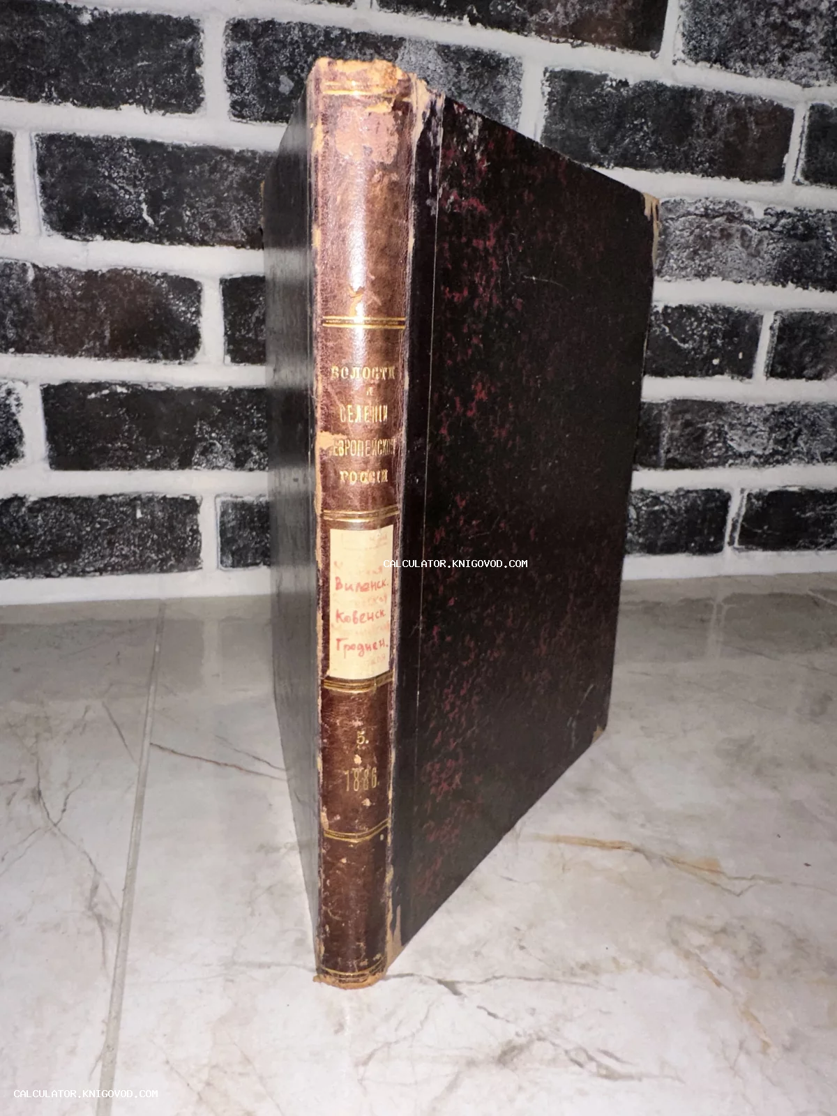 Антикварная книга 1886 года в полукожаном переплете с золотым тиснением на корешке, стоящая на мраморной поверхности.