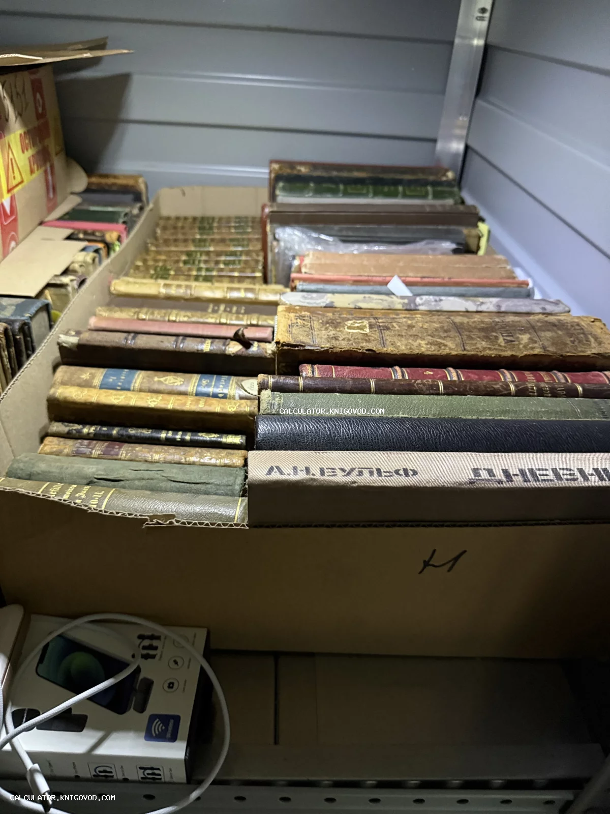 Картонная коробка, плотно заполненная старинными книгами в кожаных и тканевых переплетах, на переднем плане книга А.Н. Вульфа Дневник