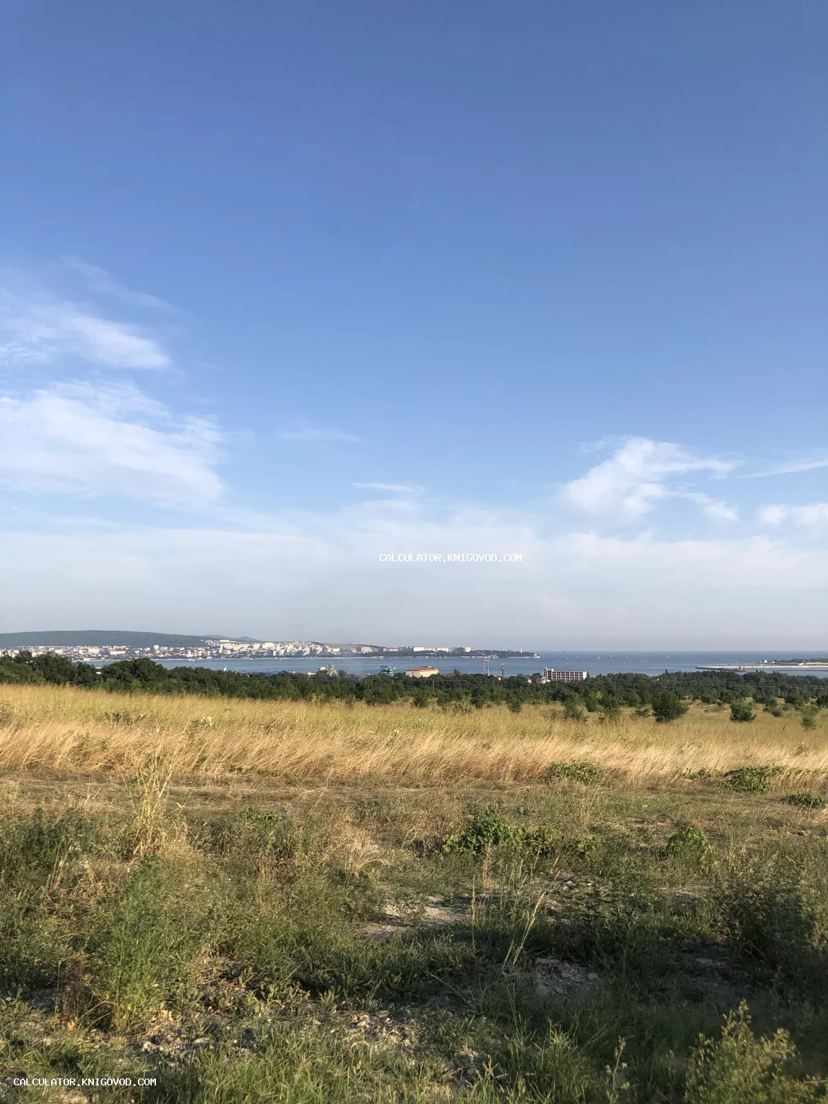 Пейзаж с сухим травянистым полем на переднем плане, лесополосой и видом на город у моря вдали под ясным голубым небом.