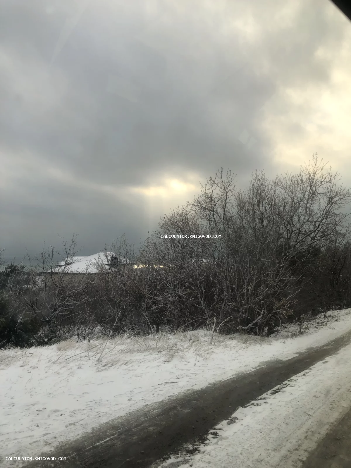 Зимний вид на заснеженную дорогу, кустарники и хмурое небо с солнечным лучом.