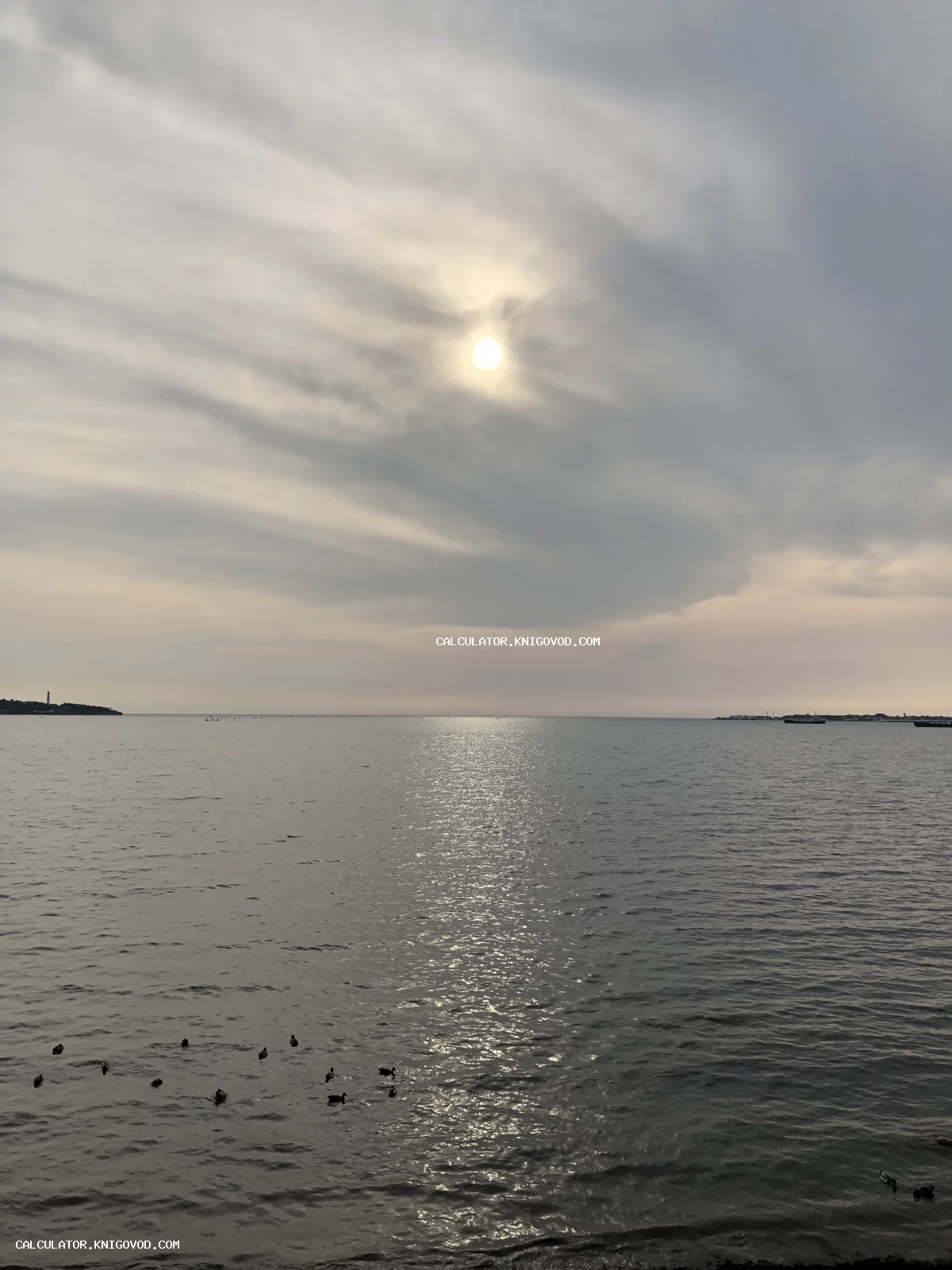 Спокойный морской пейзаж с солнцем за облаками, отражающимся в воде, и птицами на поверхности залива.