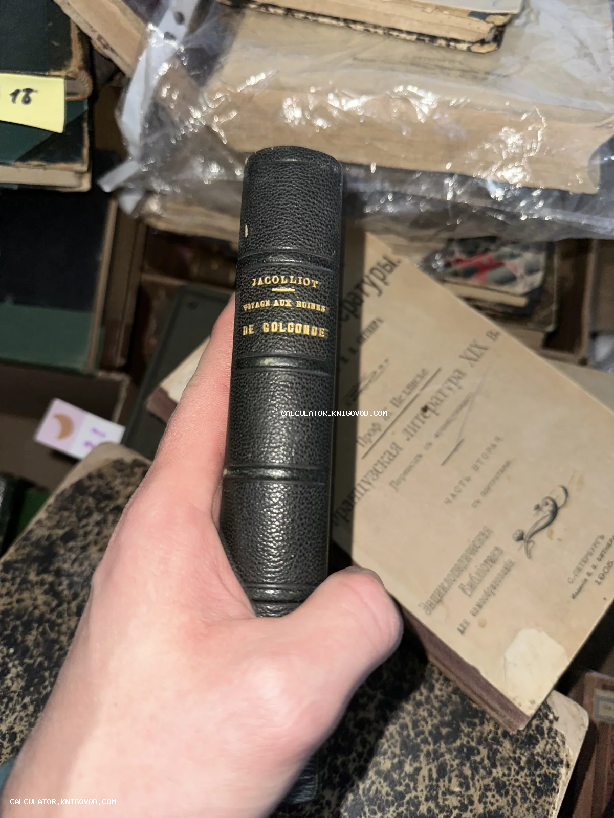 Корешок антикварной книги Луи Жаколио «Voyage aux ruines de Golconde» в черном кожаном переплете с золотым тиснением.