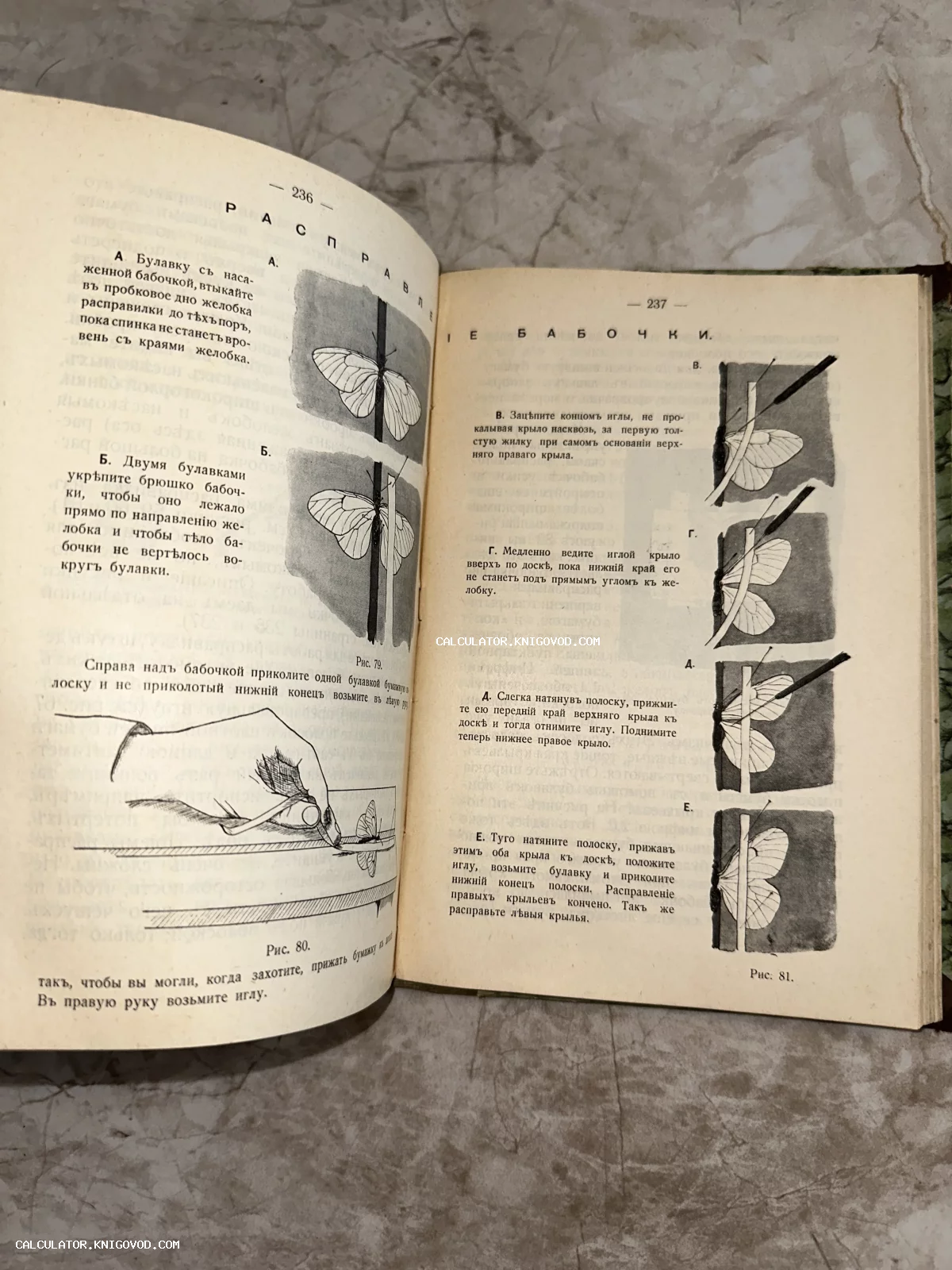 Разворот антикварной книги с пошаговыми иллюстрациями процесса подготовки энтомологического экспоната бабочки.