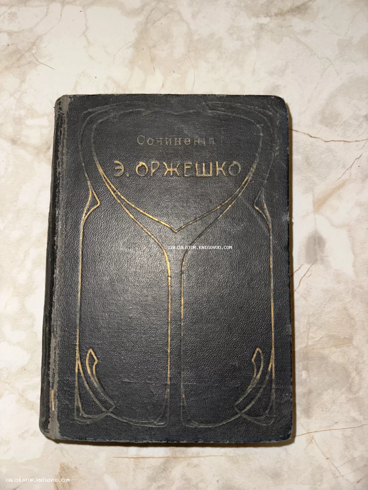 Старинный темный переплет книги Элизы Ожешко с золотым тиснением в стиле модерн