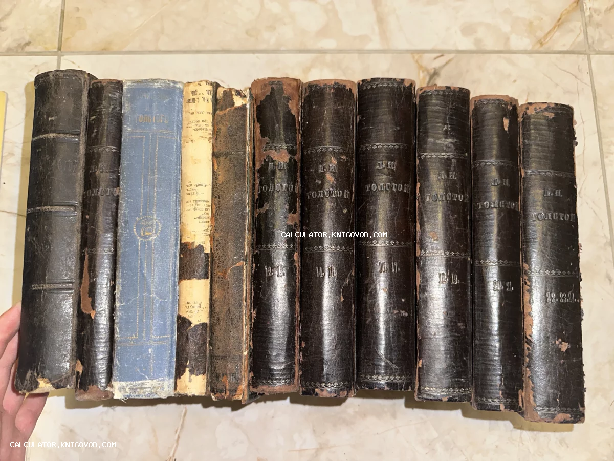 Ряд старинных томов Льва Николаевича Толстого в полукожаных переплетах с потертостями и золотым тиснением.