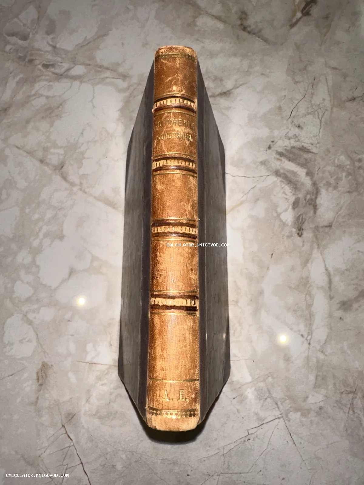 Корешок старинной книги с золотым тиснением 'Сочинения Фонвизина' и декоративными бинтами на коричневой коже.