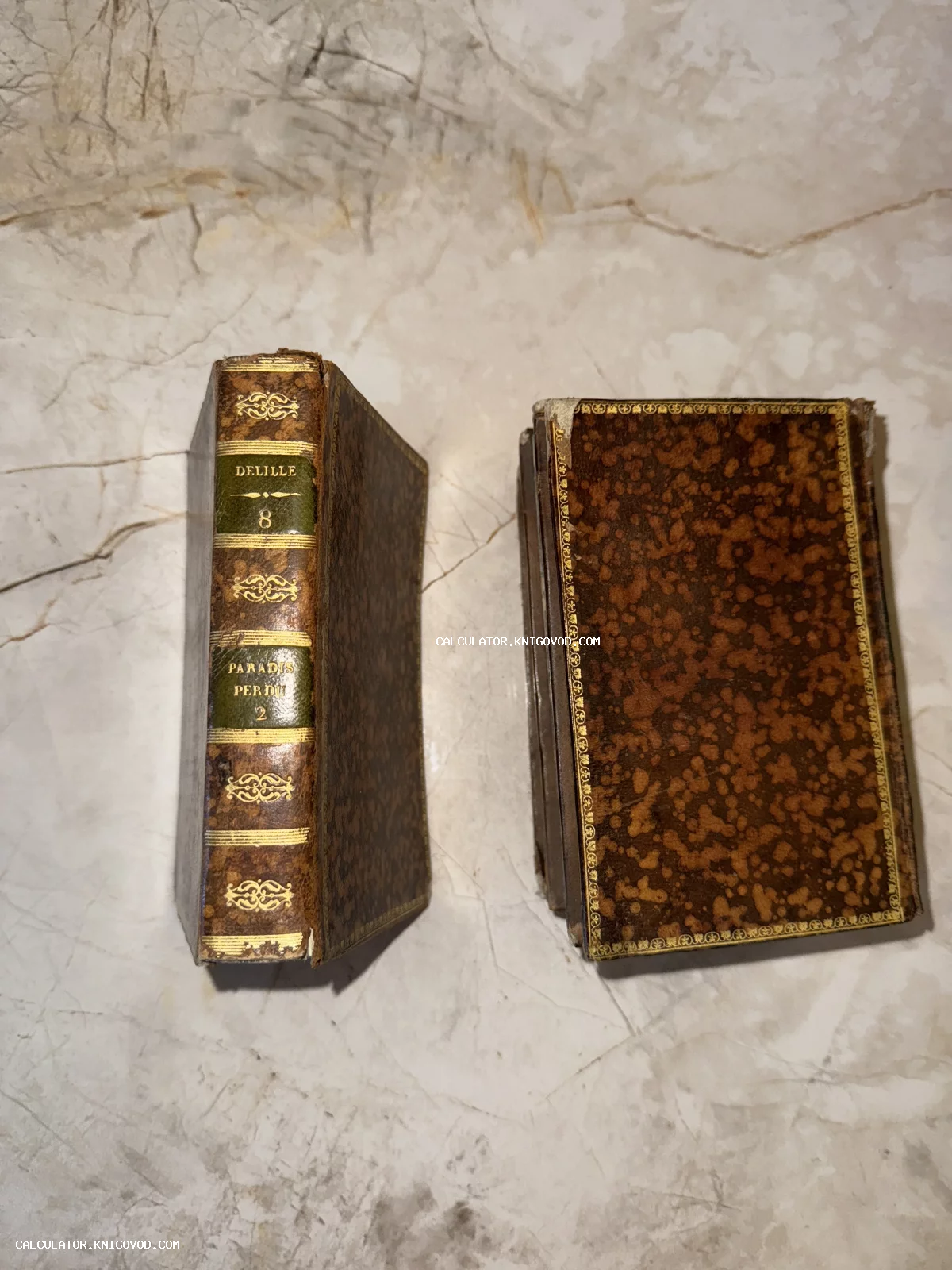 Две старинные книги в кожаных переплетах с золотым тиснением на корешках и крышках, лежащие на светлом мраморе.