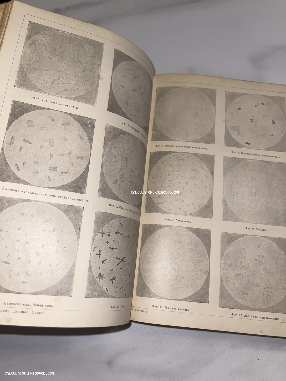 Разворот антикварной книги с иллюстрациями микроскопических исследований кристаллов и клеток, подписи на дореволюционном русском языке.