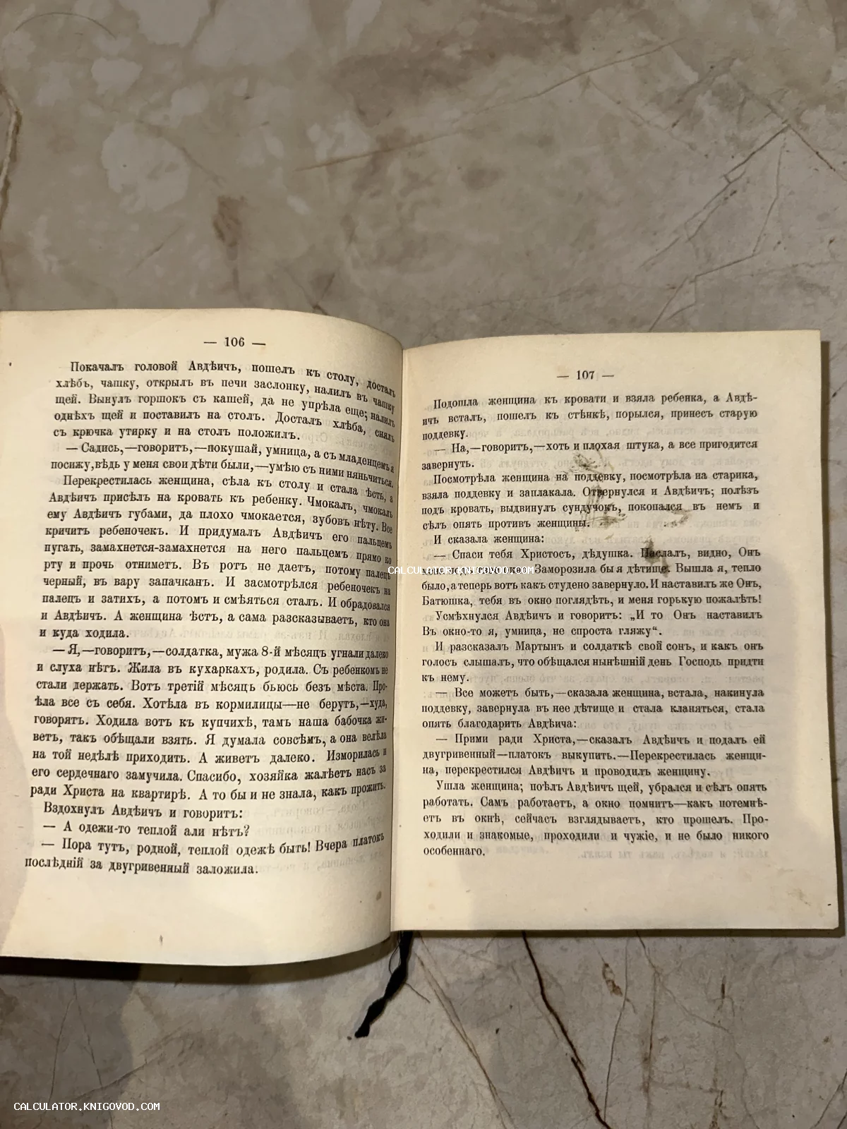 Фотография разворота старой книги со страницами 106 и 107, напечатанными с использованием дореволюционной кириллицы.