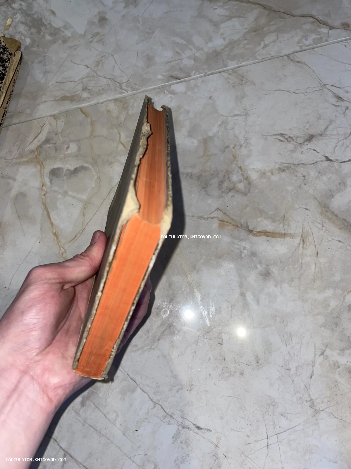 Мужская рука держит старинную книгу с ярко-оранжевым обрезом страниц и потертым корешком.