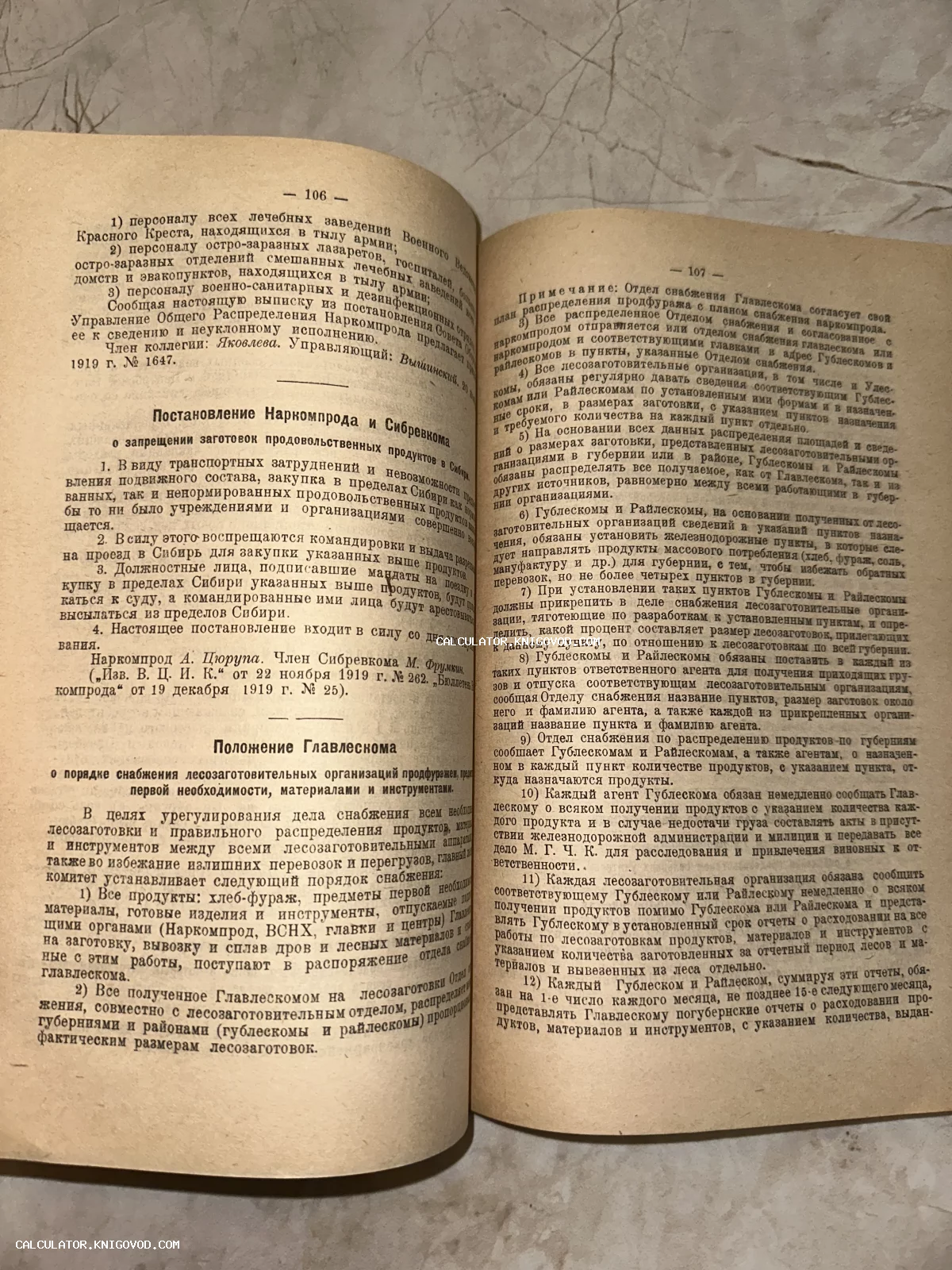 Разворот старинной советской книги 1919 года со страницами 106 и 107, содержащий текст постановлений Наркомпрода и Главлеснома.
