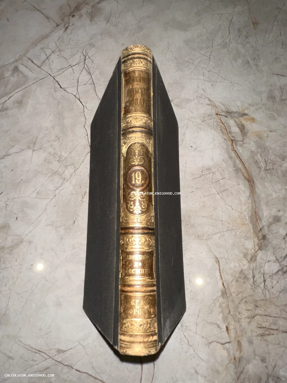 Вид на корешок антикварной книги с золотым тиснением и надписью Энциклопедический словарь, том 19.