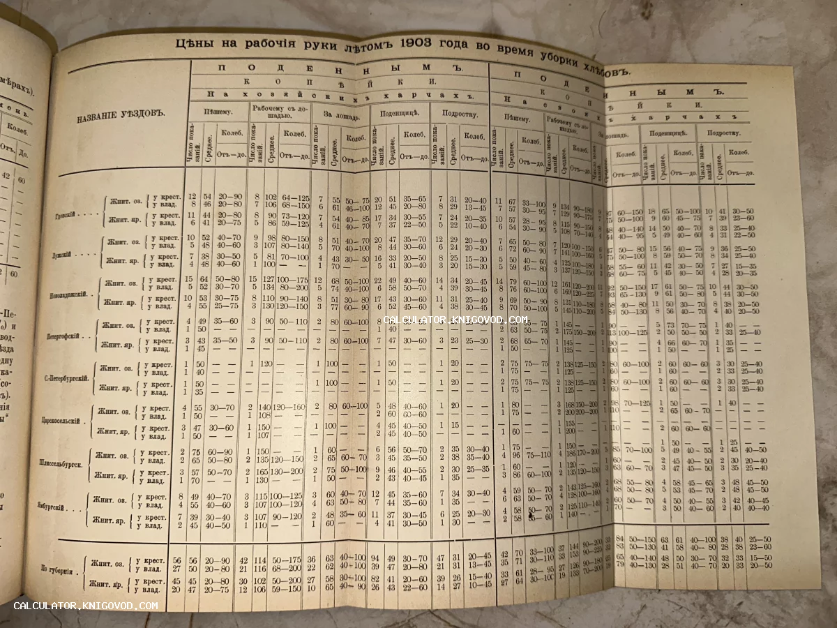Разворот старинной книги с таблицей «Цены на рабочие руки летом 1903 года во время уборки хлебов» на дореволюционном русском языке.