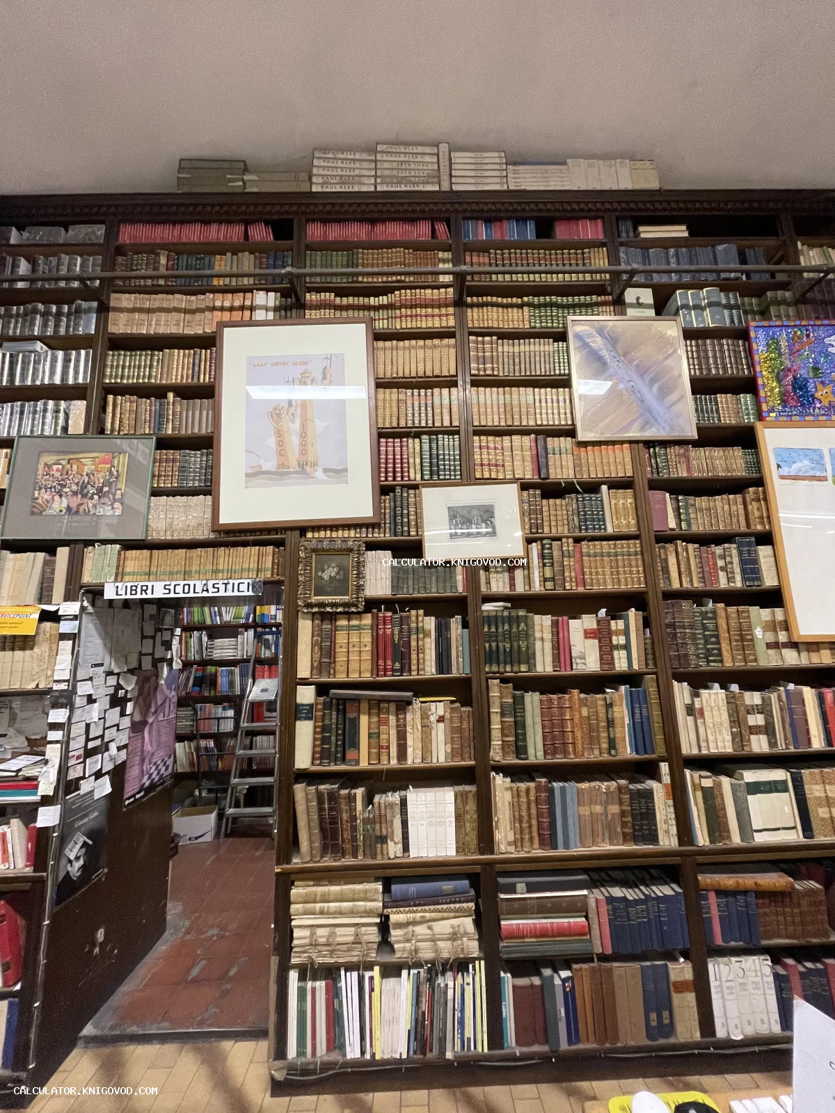 Высокие деревянные стеллажи от пола до потолка, полностью заполненные старинными книгами в разнообразных переплетах.