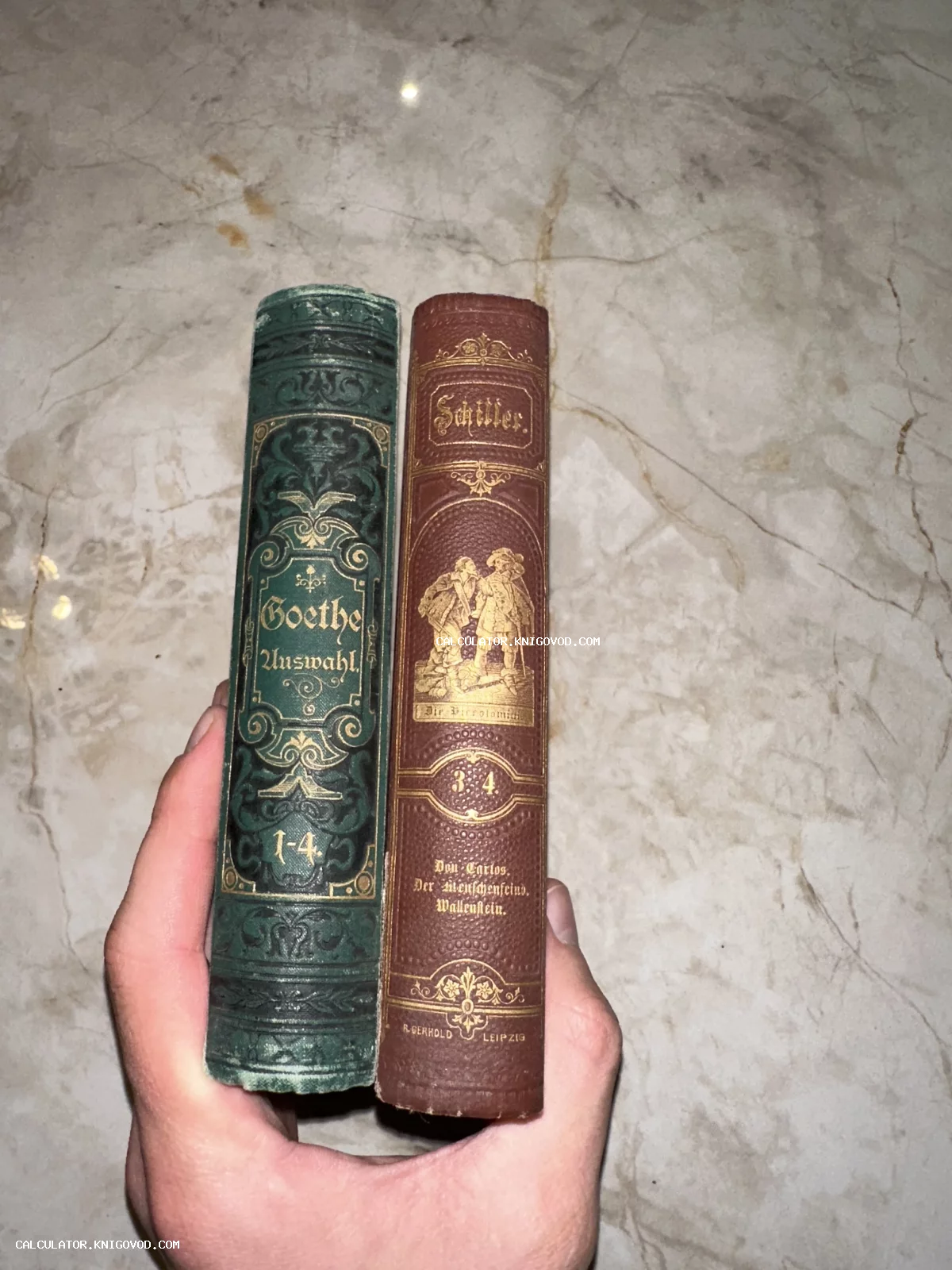Корешки двух антикварных книг Гёте и Шиллера с золотым тиснением в руках на фоне мрамора.
