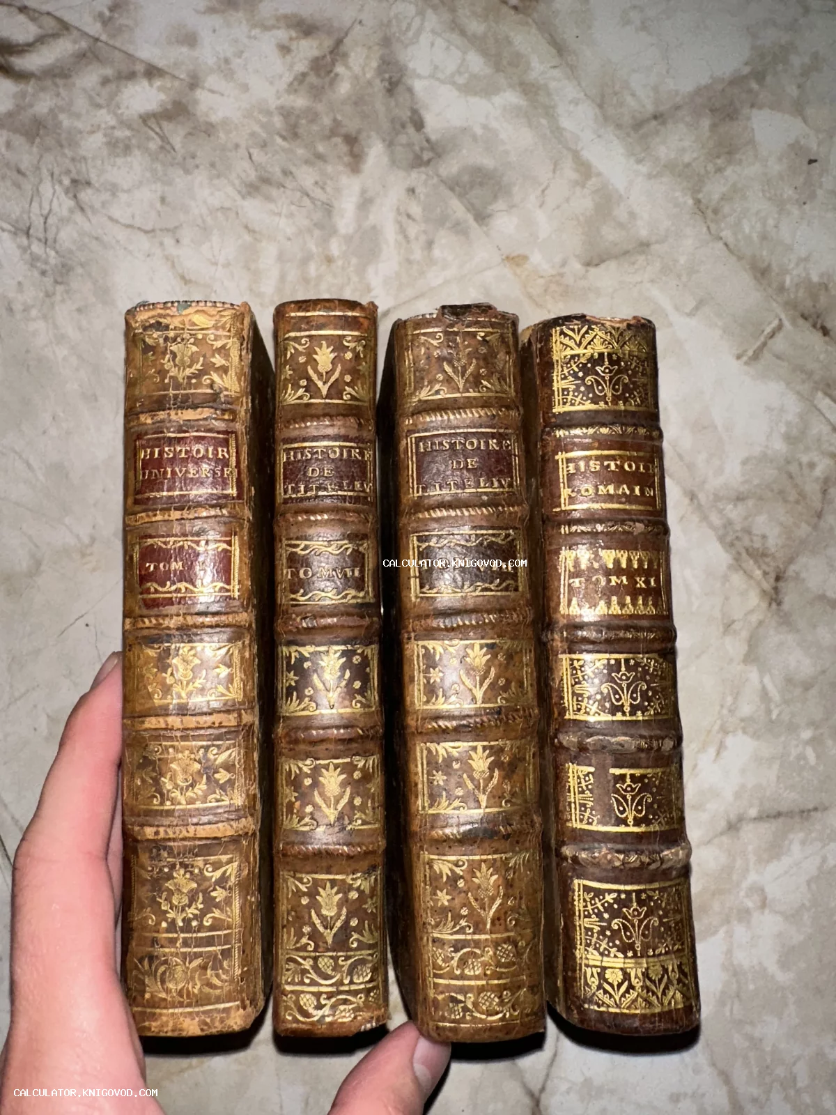 Четыре старинных книги в кожаных переплетах с золотым тиснением на корешках, стоящие в ряд.