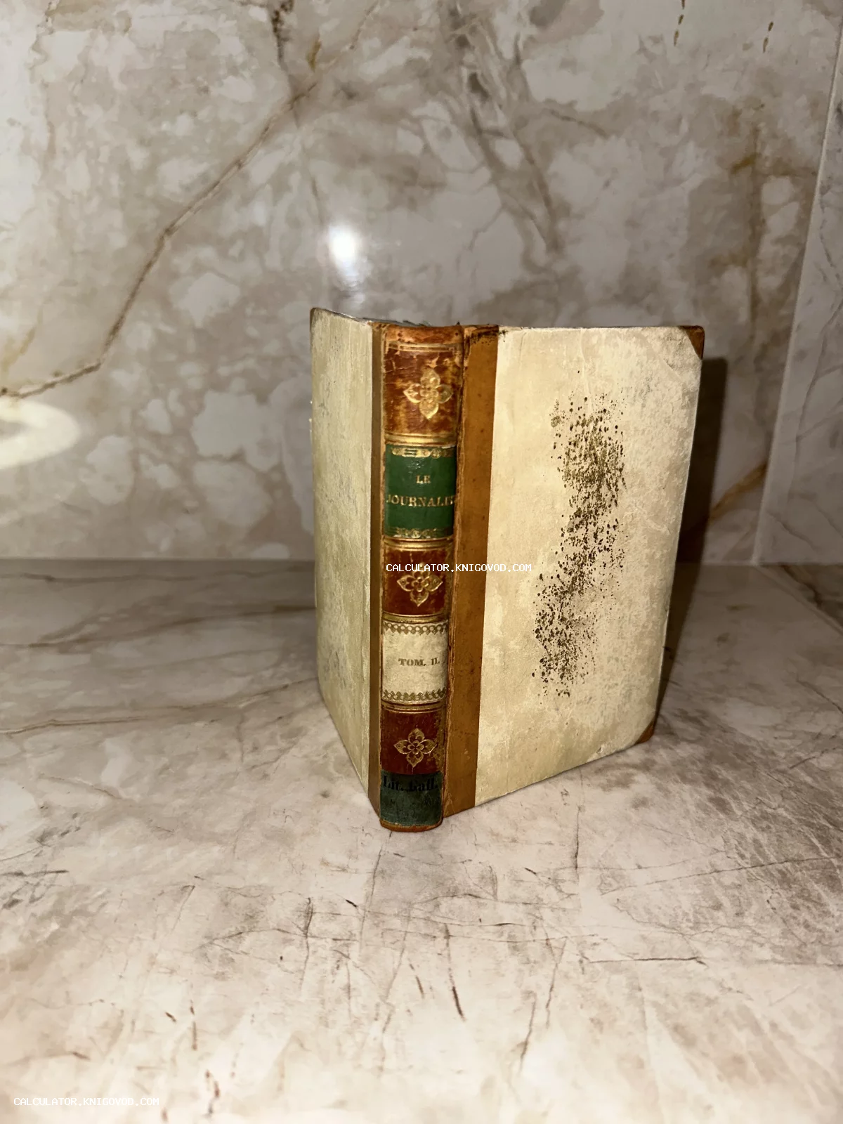 Старинная книга в светлом переплете с богато украшенным золотым тиснением корешком на мраморном фоне.