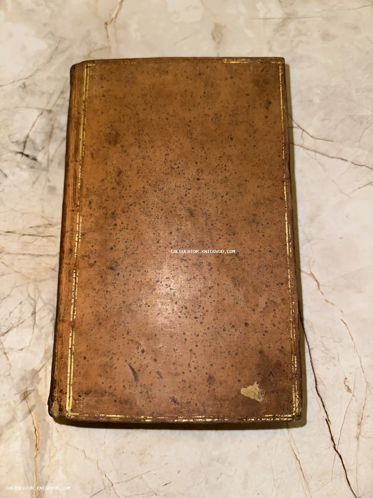 Старинная книга в коричневом кожаном переплете с крапчатой фактурой и золотой рамкой по периметру на мраморном фоне.